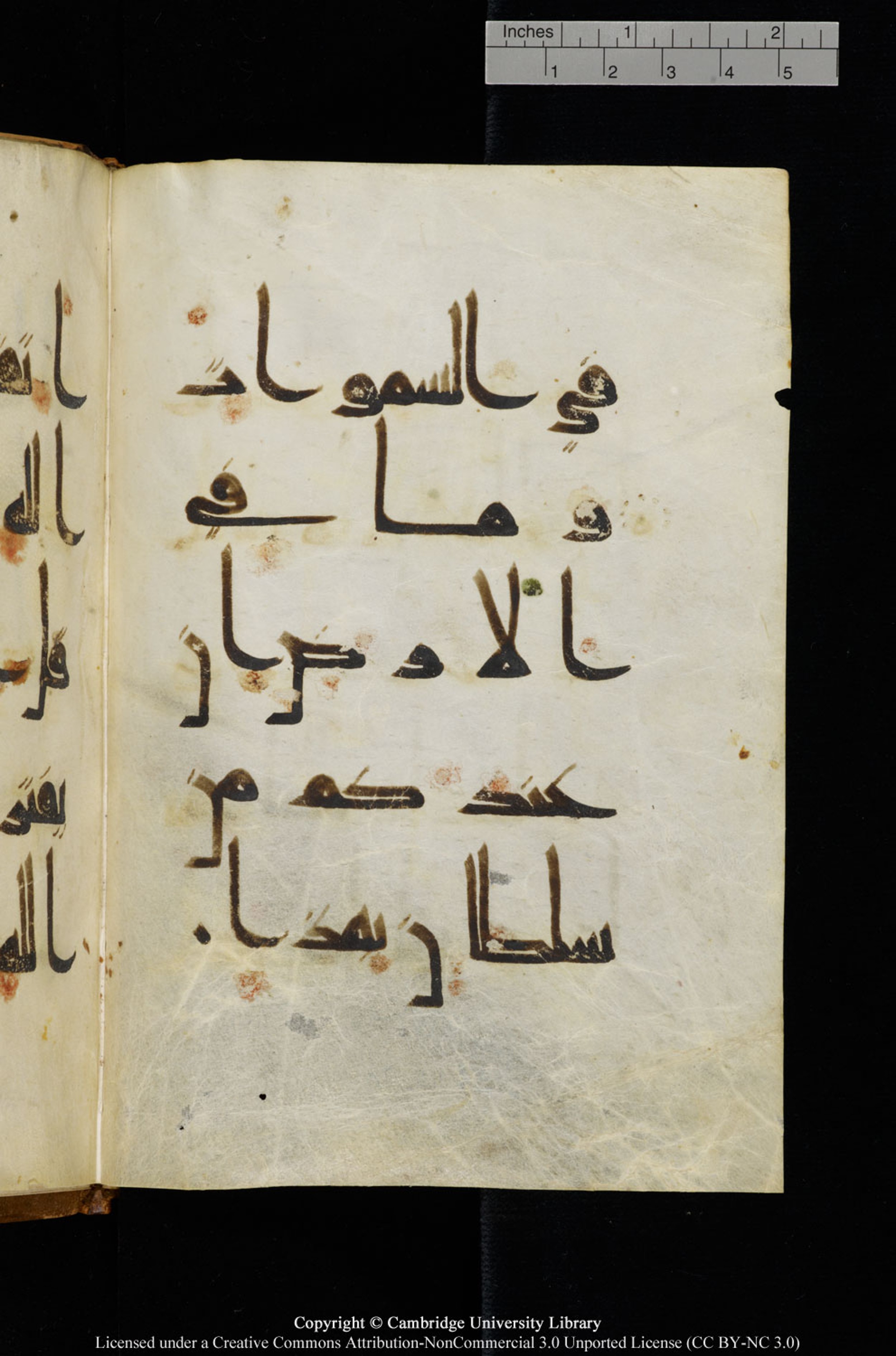 Cambridge, Cambridge University Library, MS Add.1127 (Scan 2), in Kūfī D.Vb script, showing Surah 10:68 from 9th or 10th Century AD found in Sinai Peninsula, currently housed at Cambridge University Library, Cambridge