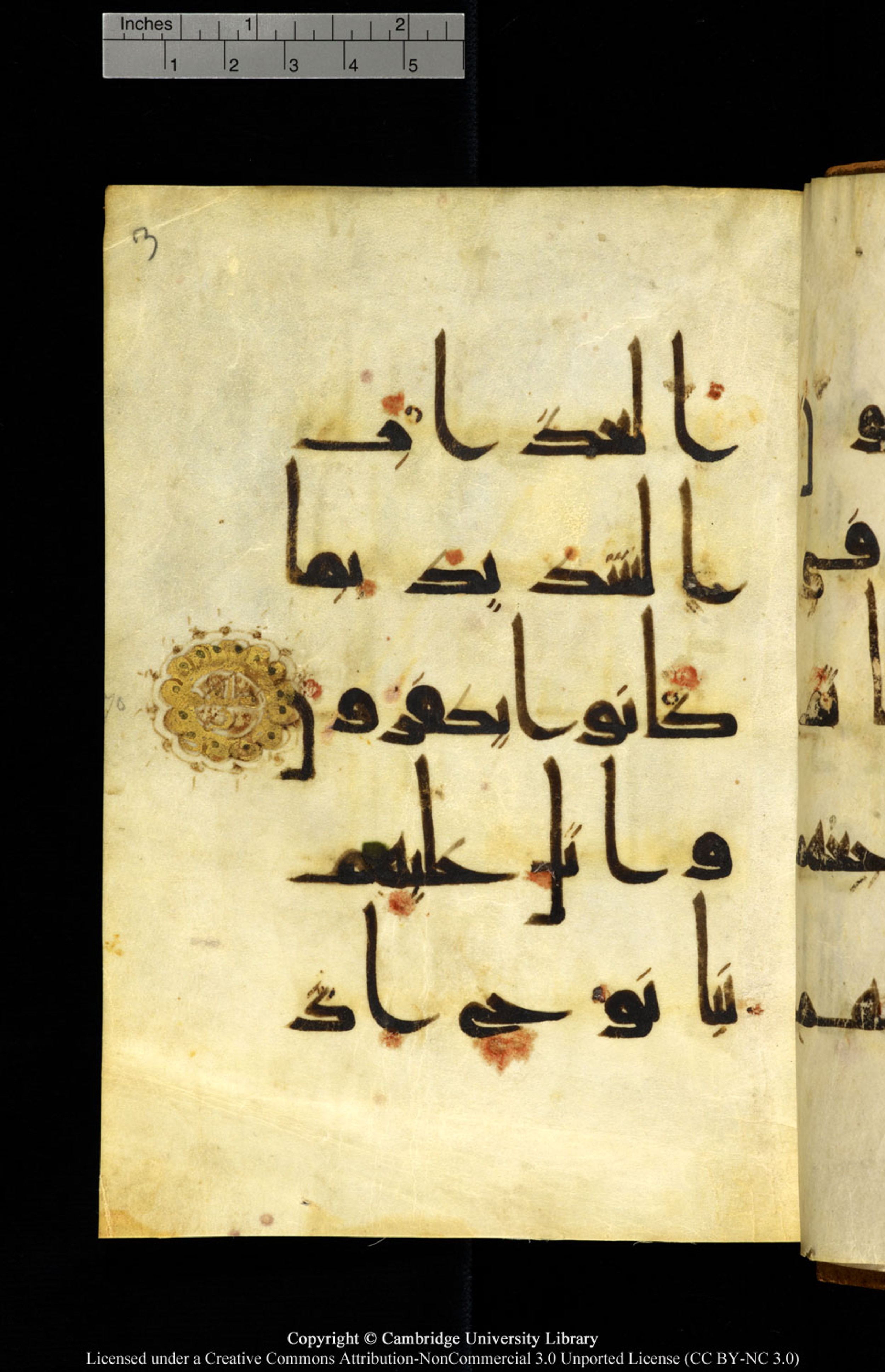 Cambridge, Cambridge University Library, MS Add.1127 (Scan 2), in Kūfī D.Vb script, showing Surah 10:70 from 9th or 10th Century AD found in Sinai Peninsula, currently housed at Cambridge University Library, Cambridge