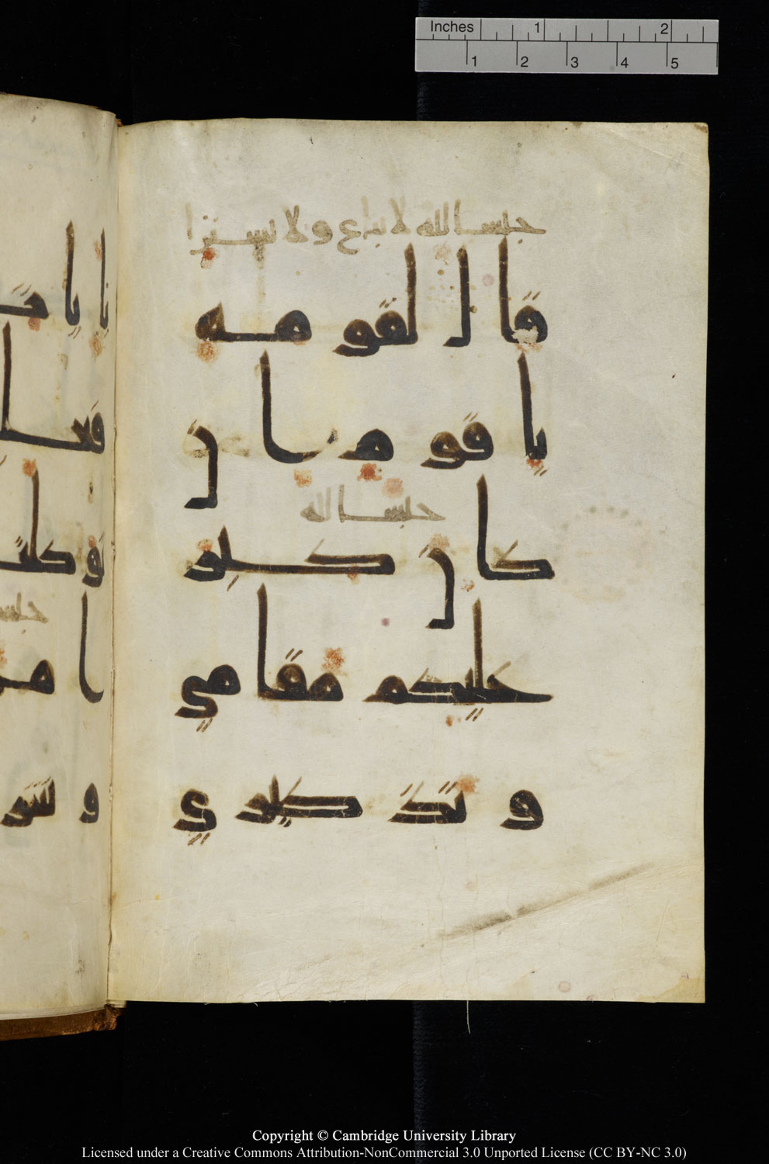 Cambridge, Cambridge University Library, MS Add.1127 (Scan 2), in Kūfī D.Vb script, showing Surah 10:71 from 9th or 10th Century AD found in Sinai Peninsula, currently housed at Cambridge University Library, Cambridge