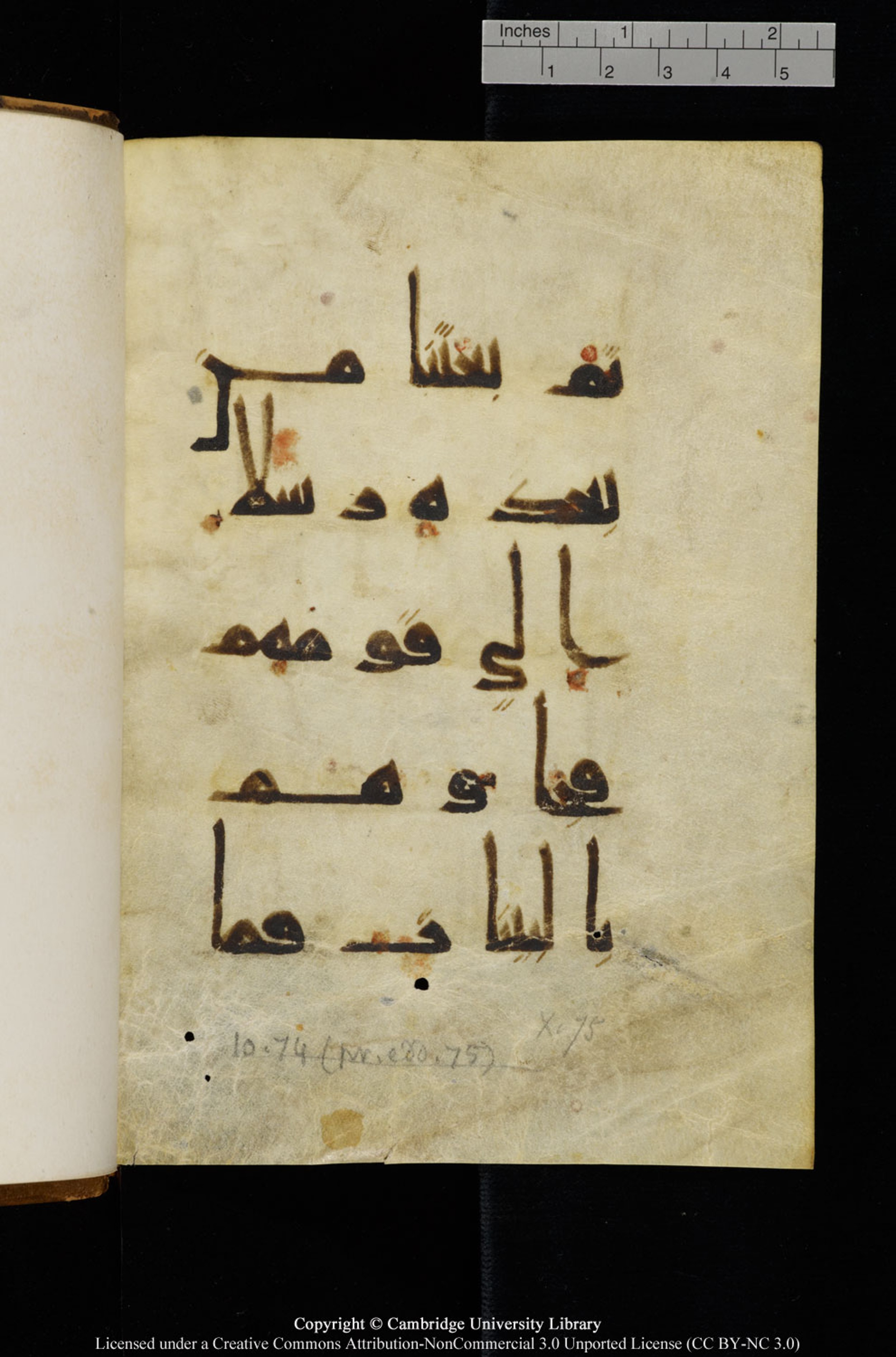 Cambridge, Cambridge University Library, MS Add.1127, in Kūfī D.Vb script, showing Surah 10:74 from 9th or 10th Century AD found in Sinai Peninsula, currently housed at Cambridge University Library, Cambridge