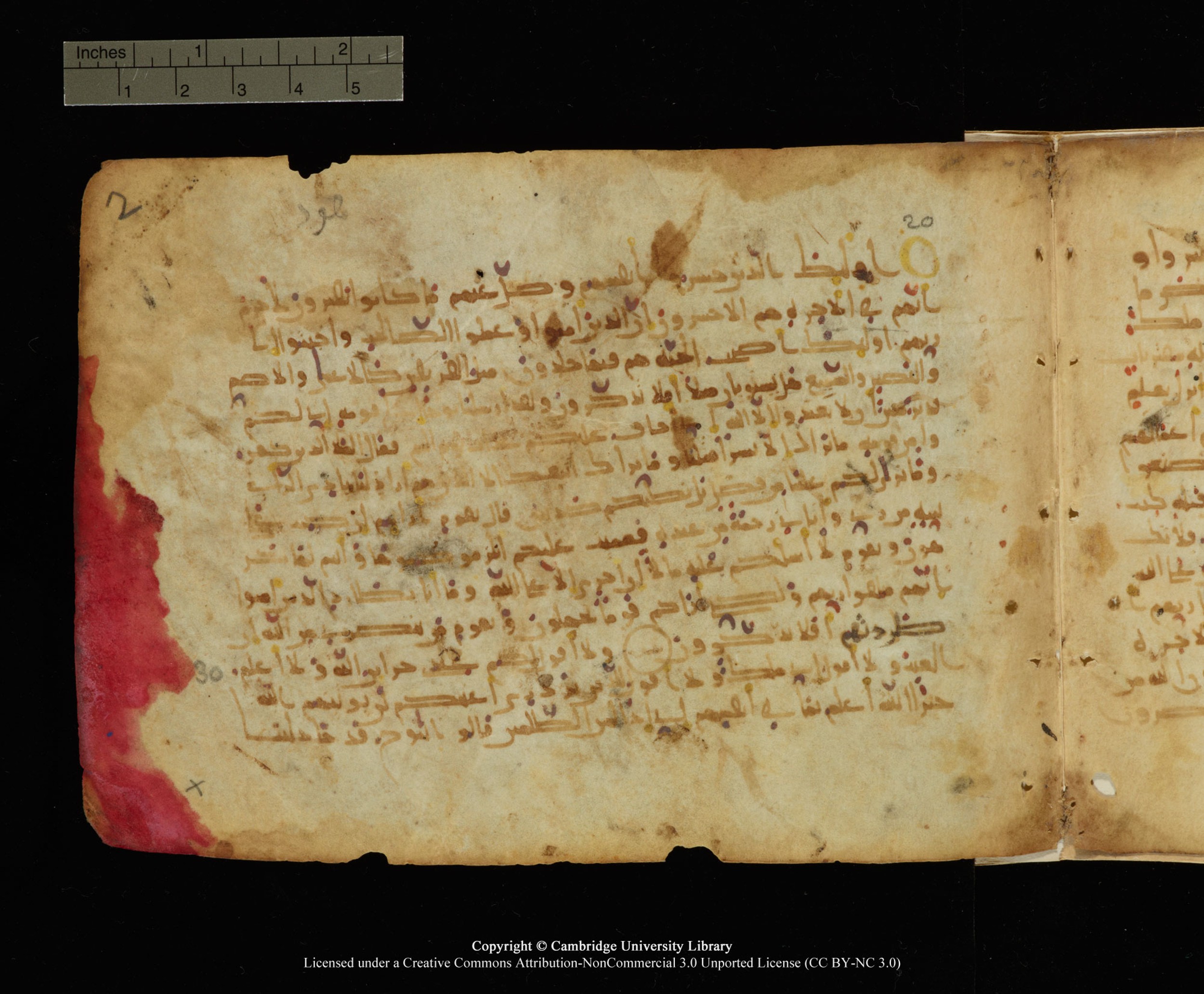 Cambridge, Cambridge University Library, MS Add.1128, in Unidentified script, showing Surah 11:21 from 9th to 10th Century AD found in Sinai Peninsula, currently housed at Cambridge University Library, Cambridge