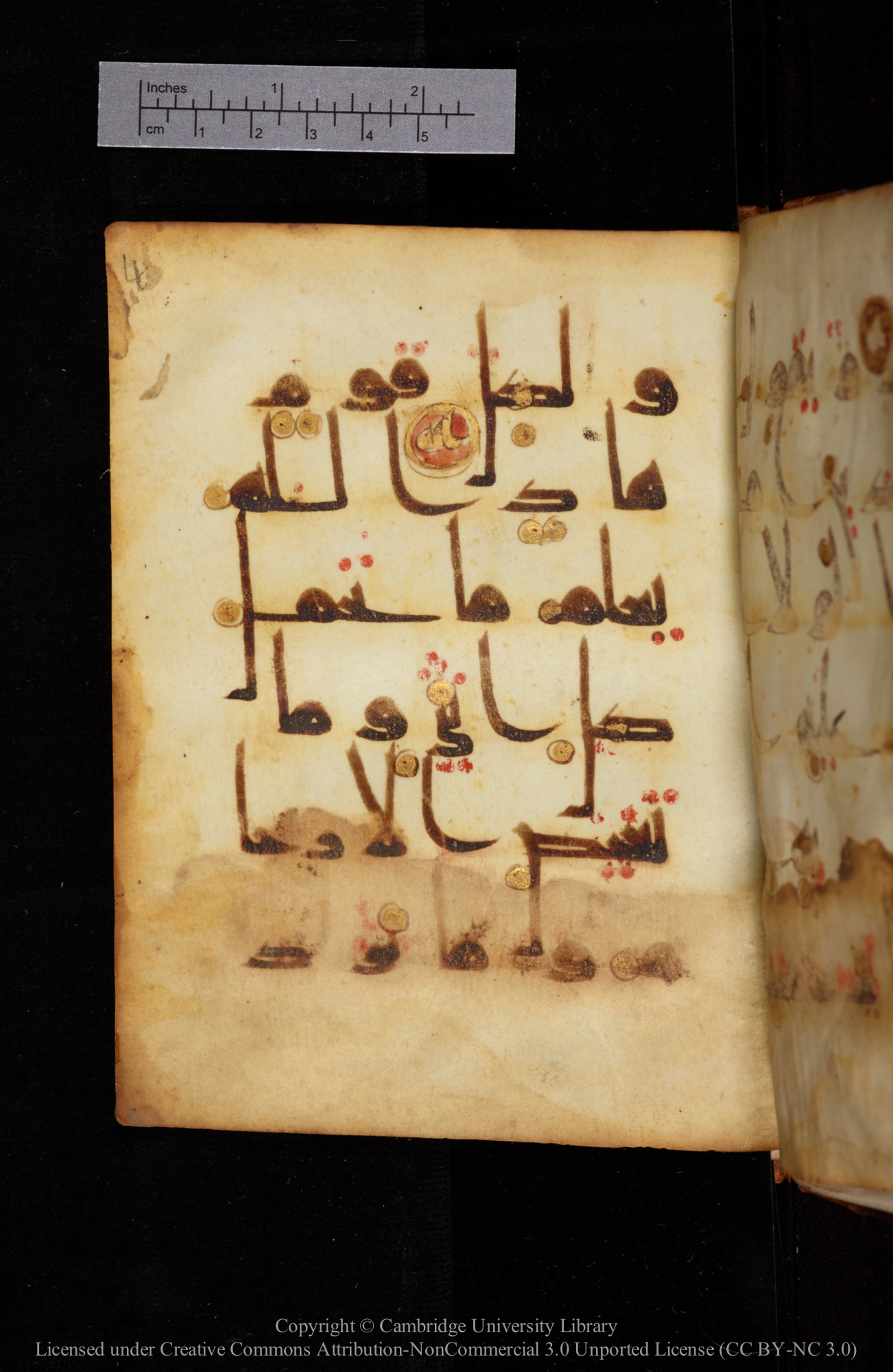 Cambridge, Cambridge University Library, MS Add.1129 (Scan 1), in kūfī D Vb (with influence from style D III) script, showing Surah 13:8 from 9th or 10th Century AD found in Sinai Peninsula, currently housed at Cambridge University Library, Cambridge