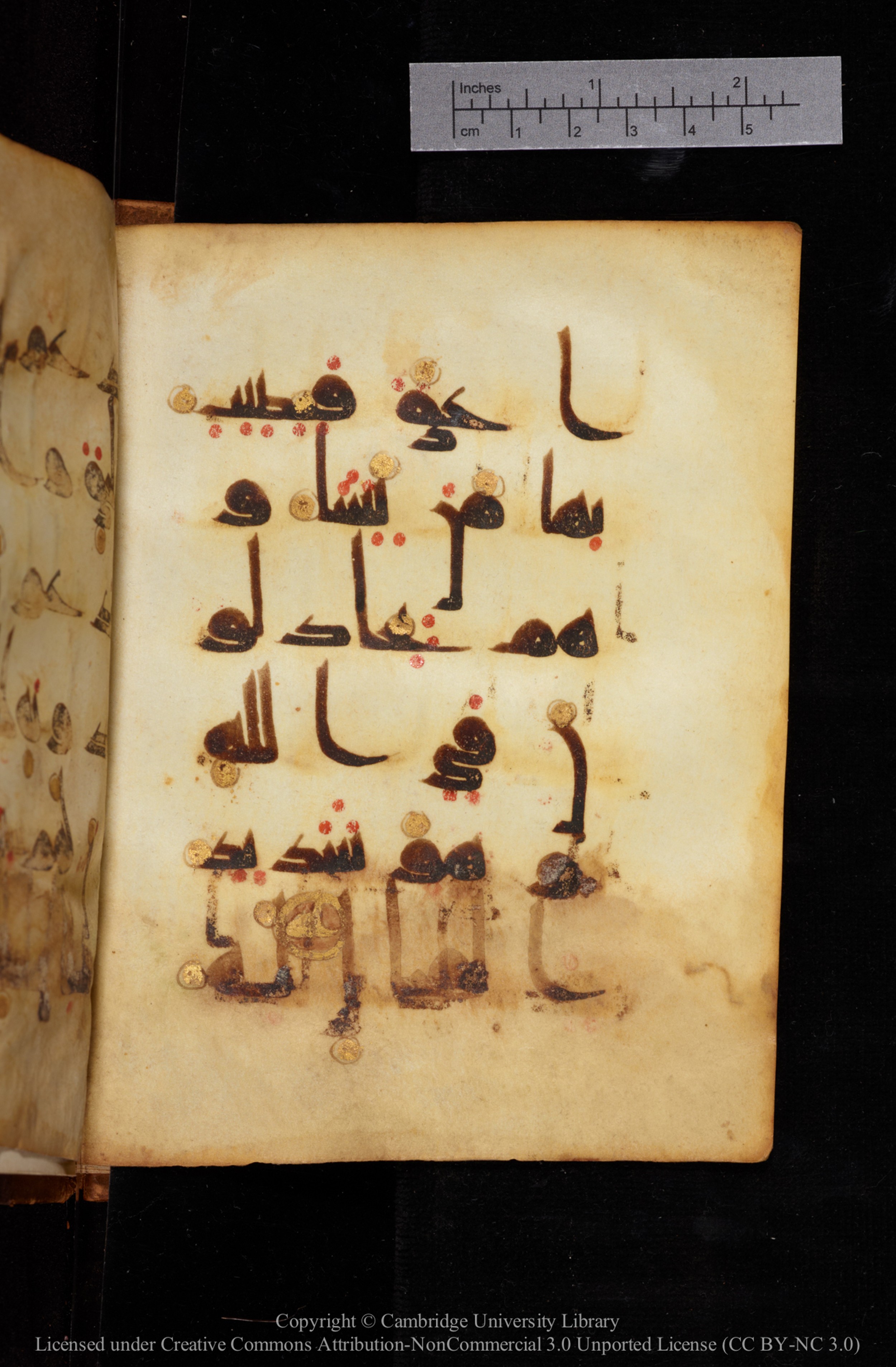 Cambridge, Cambridge University Library, MS Add.1129 (Scan 2), in kūfī D Vb (with influence from style D III) script, showing Surah 13:13 from 9th or 10th Century AD found in Sinai Peninsula, currently housed at Cambridge University Library, Cambridge