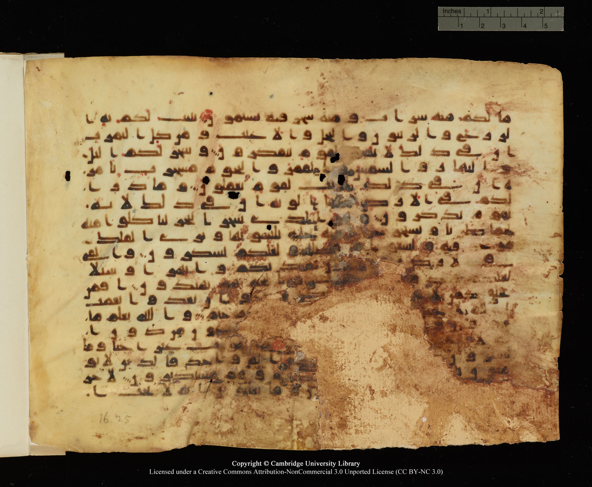 Cambridge, Cambridge University Library, MS Add.1130, in kūfī D.IV script, showing Surah 16:21 from 9th Century AD found in al-Haram al-Sharīf, Jerusalem, currently housed at Cambridge University Library, Cambridge
