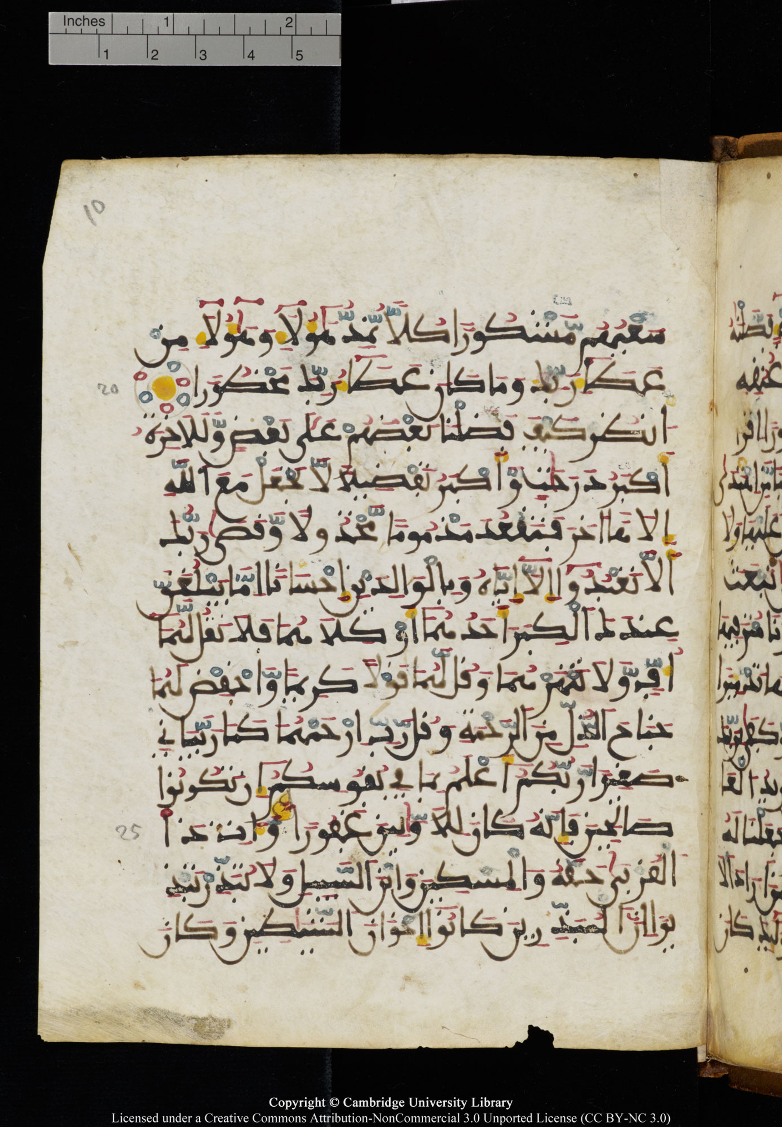 Cambridge University Library MS Add.1131, in Maġribī round script script, showing Surah 17:21 from Late 11th / 12th Century AD found in Sinai Peninsula (originating in al-Andalus), currently housed at Cambridge University Library, Cambridge