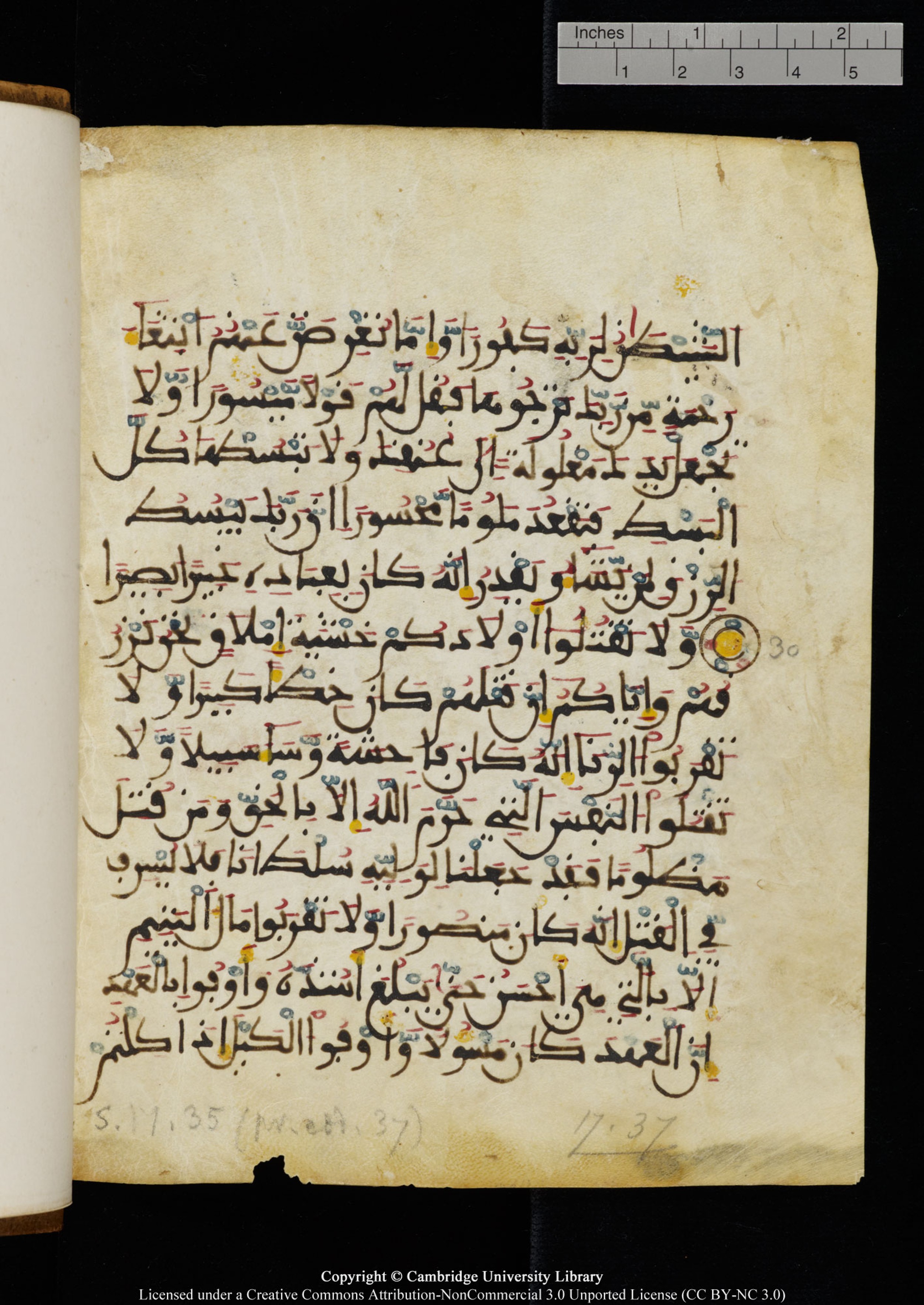 Cambridge University Library MS Add.1131, in Maġribī round script script, showing Surah 17:28 from Late 11th / 12th Century AD found in Sinai Peninsula (originating in al-Andalus), currently housed at Cambridge University Library, Cambridge