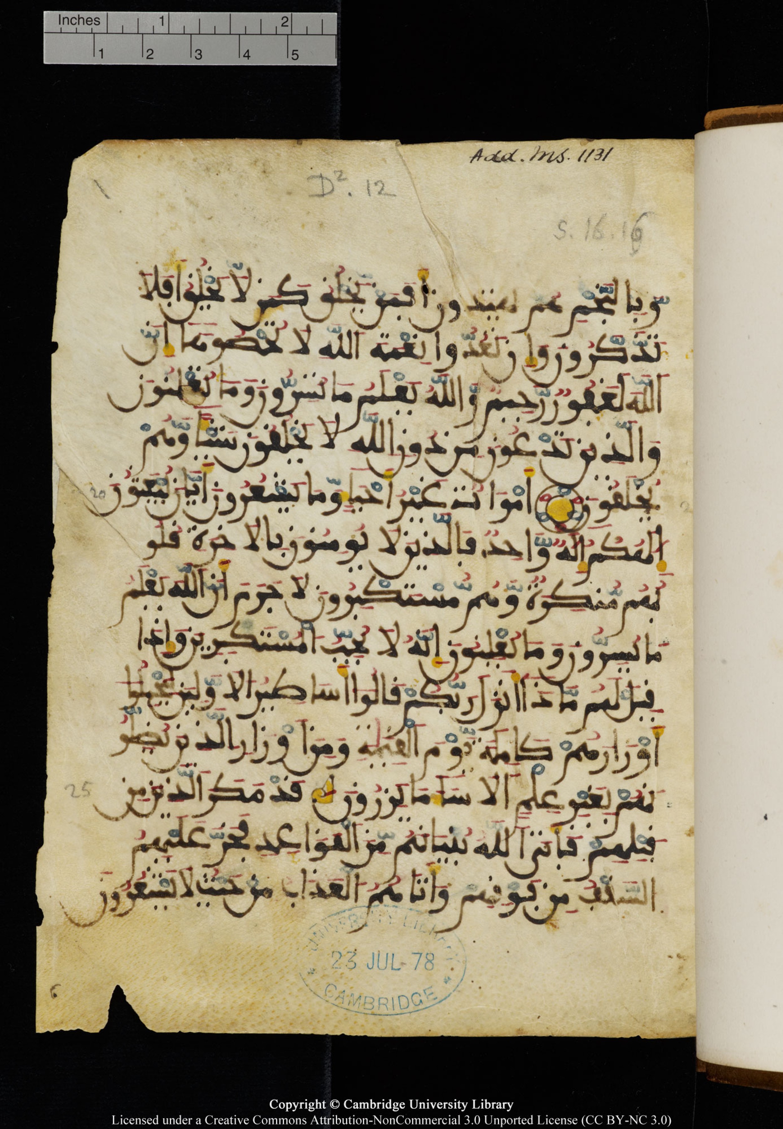 Cambridge University Library MS Add.1131, in Maġribī round script script, showing Surah 16:21 from Late 11th / 12th Century AD found in Sinai Peninsula (originating in al-Andalus), currently housed at Cambridge University Library, Cambridge