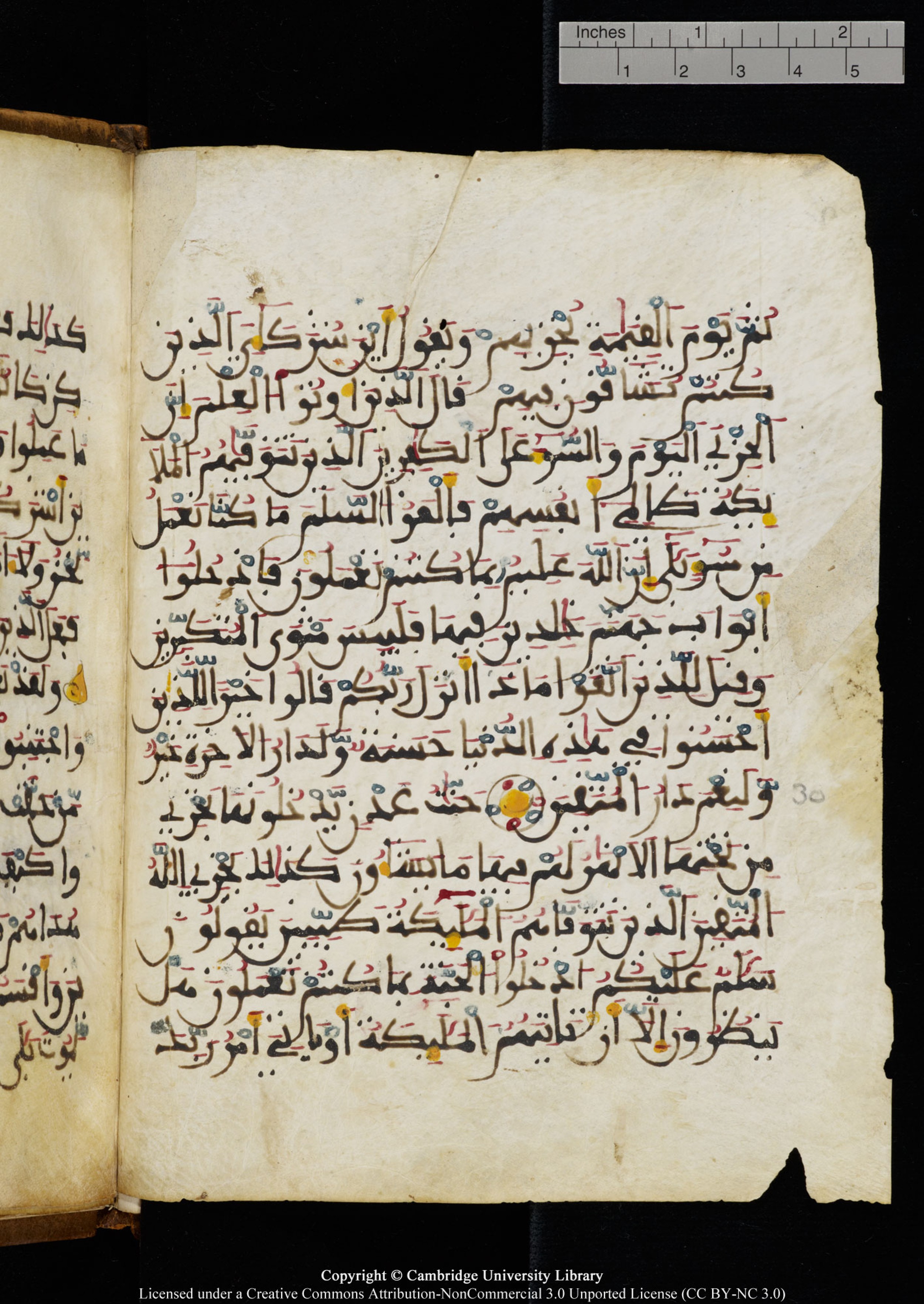 Cambridge University Library MS Add.1131 (Scan 1), in Maġribī round script script, showing Surah 16:33 from Late 11th / 12th Century AD found in Sinai Peninsula (originating in al-Andalus), currently housed at Cambridge University Library, Cambridge