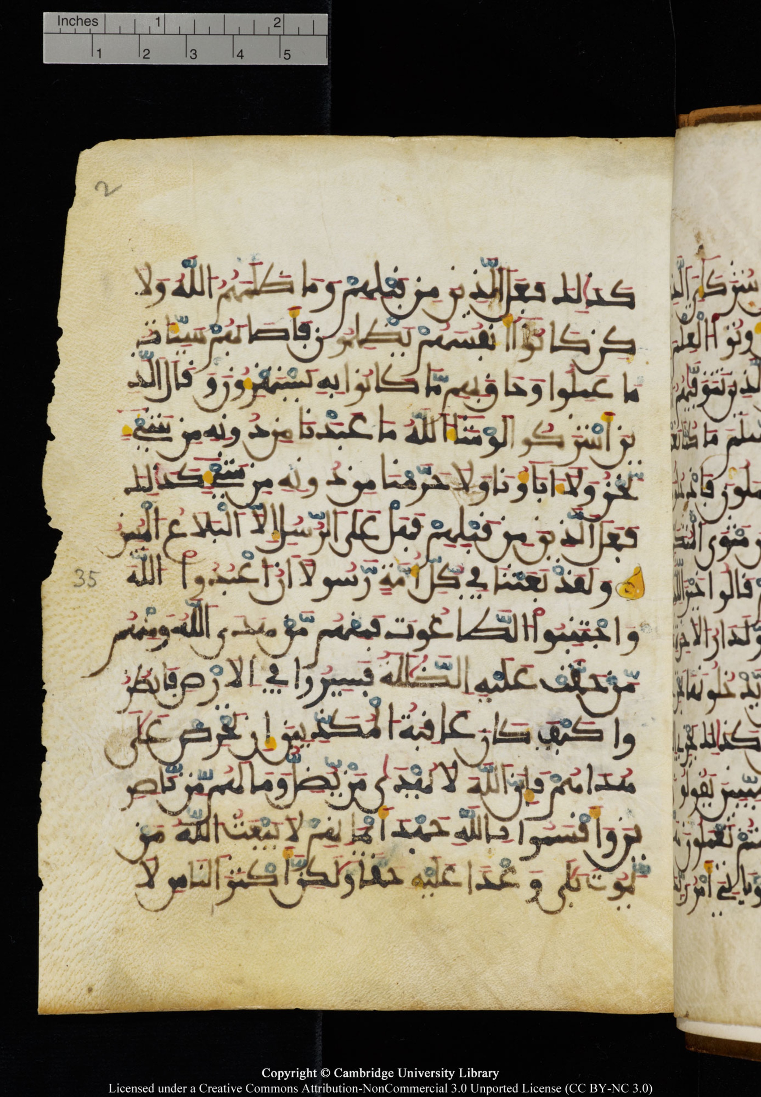 Cambridge University Library MS Add.1131 (Scan 2), in Maġribī round script script, showing Surah 16:33 from Late 11th / 12th Century AD found in Sinai Peninsula (originating in al-Andalus), currently housed at Cambridge University Library, Cambridge