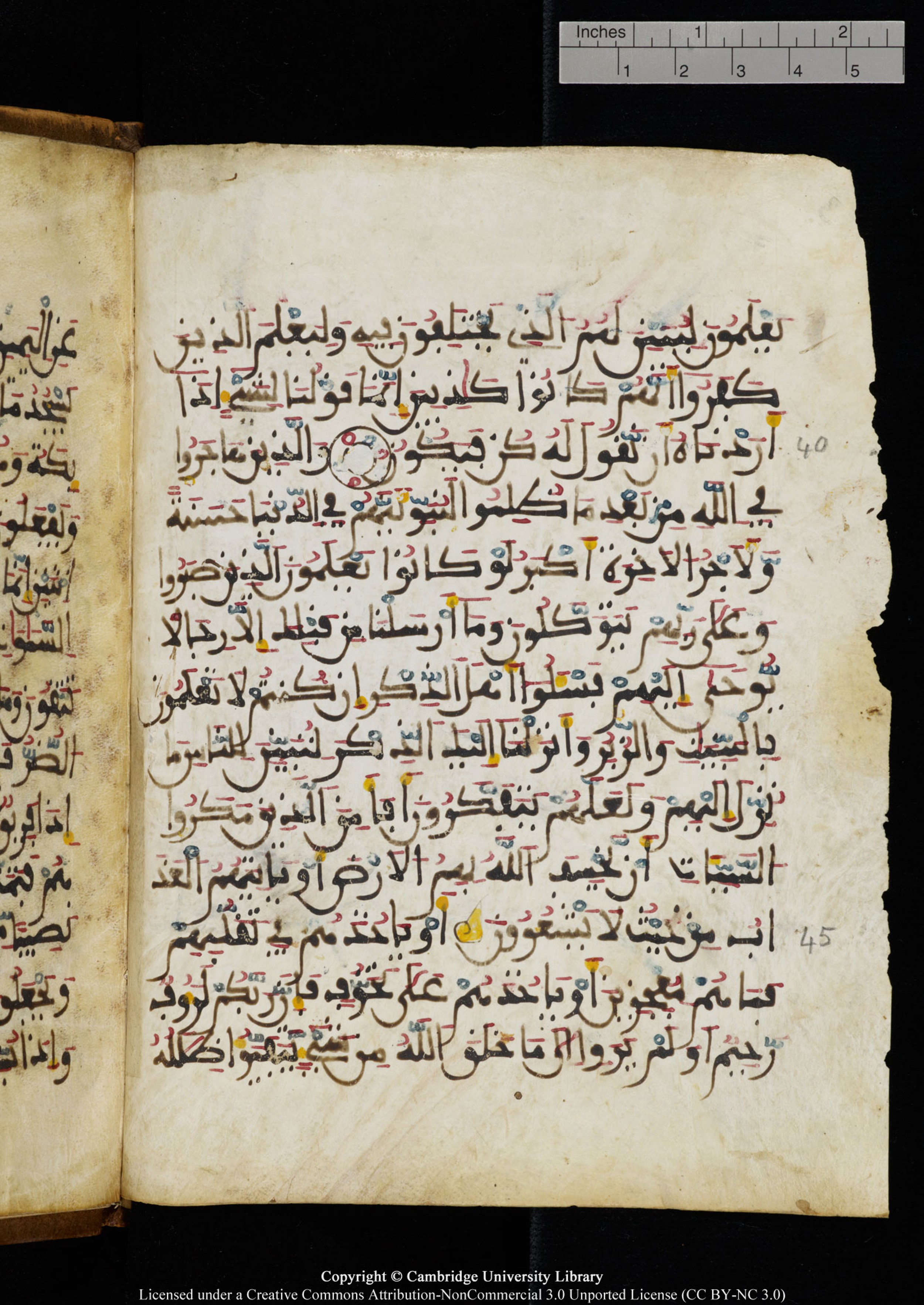 Cambridge University Library MS Add.1131, in Maġribī round script script, showing Surah 16:46 from Late 11th / 12th Century AD found in Sinai Peninsula (originating in al-Andalus), currently housed at Cambridge University Library, Cambridge
