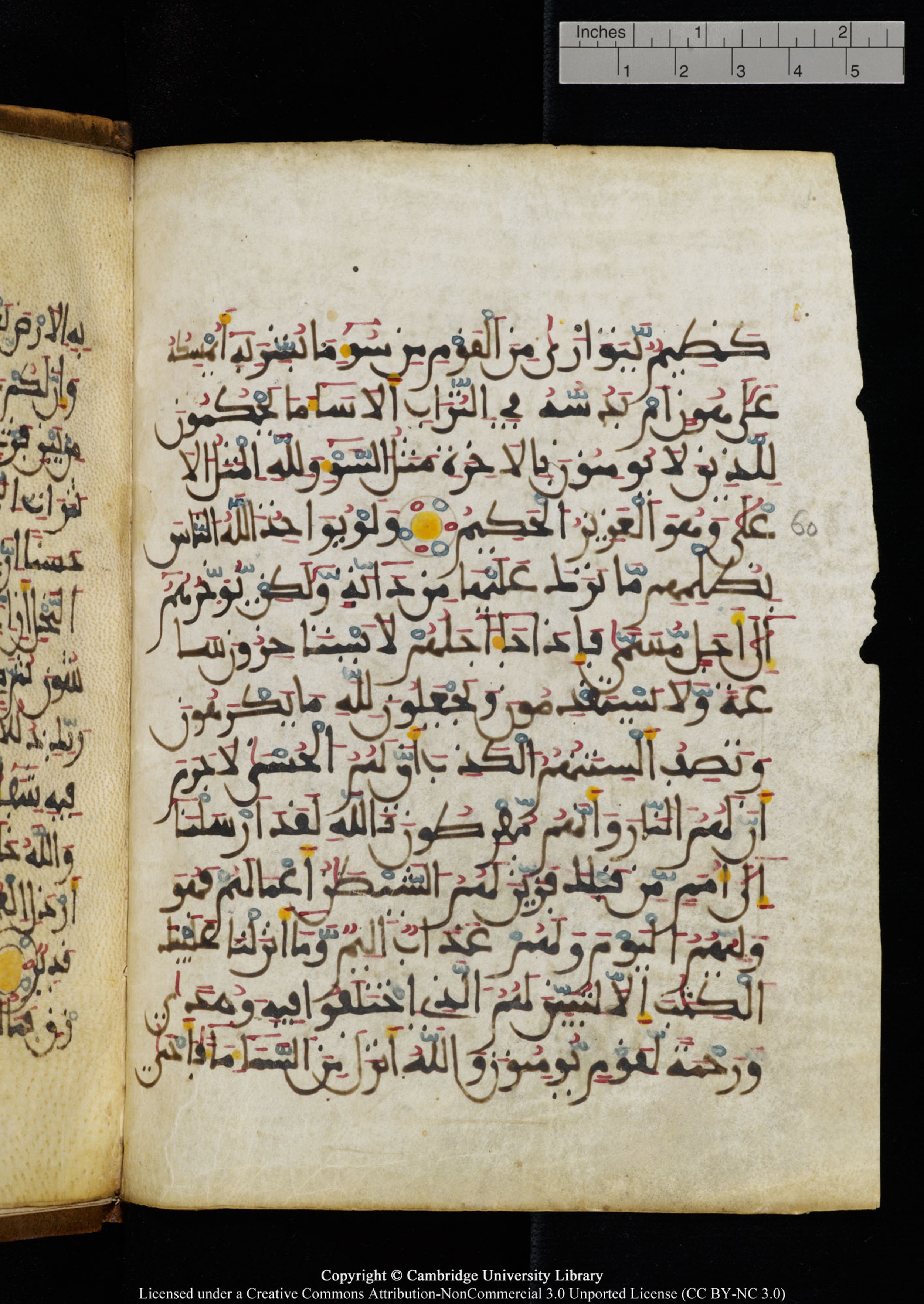 Cambridge University Library MS Add.1131, in Maġribī round script script, showing Surah 16:64 from Late 11th / 12th Century AD found in Sinai Peninsula (originating in al-Andalus), currently housed at Cambridge University Library, Cambridge
