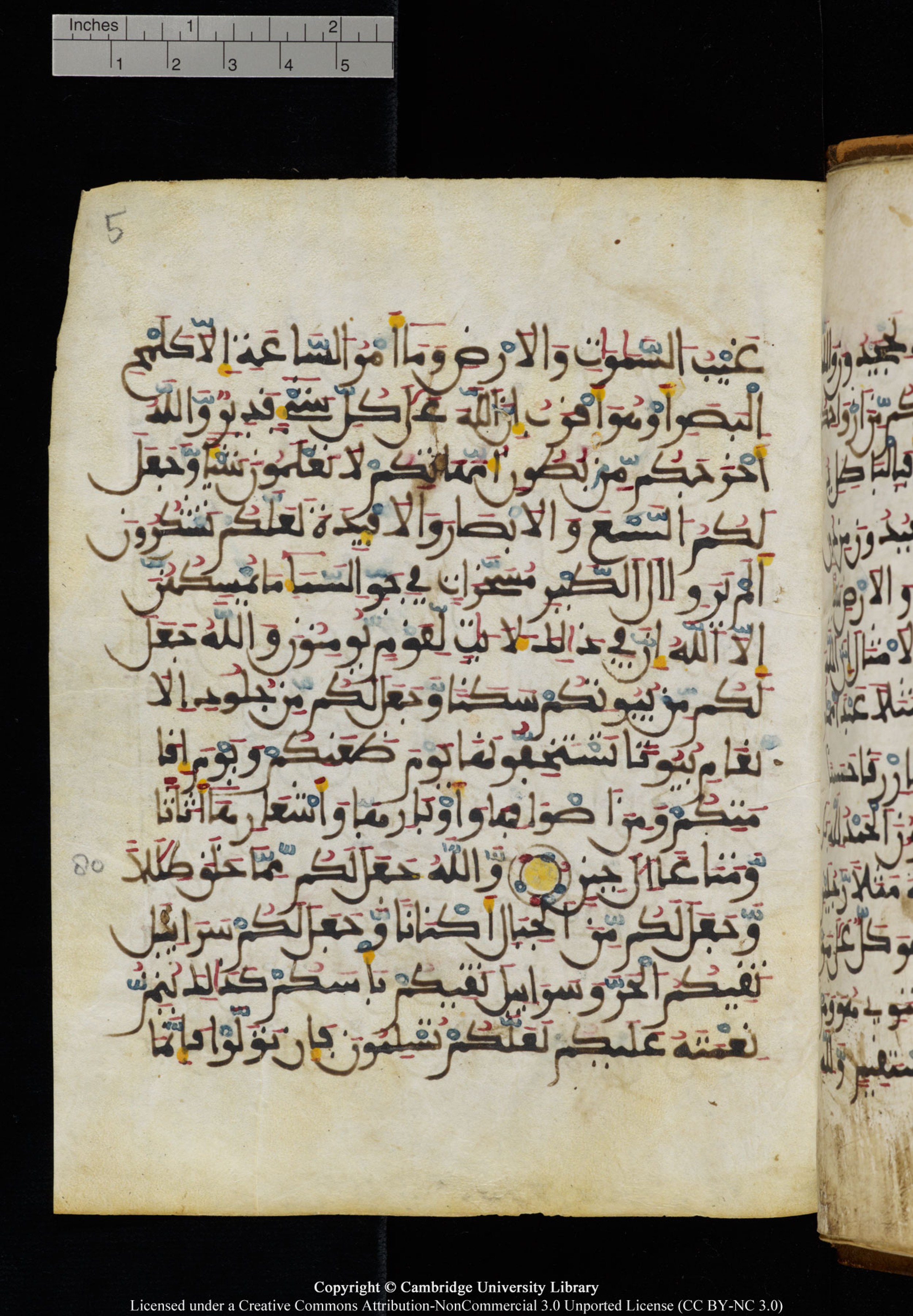Cambridge University Library MS Add.1131 (Scan 1), in Maġribī round script script, showing Surah 16:82 from Late 11th / 12th Century AD found in Sinai Peninsula (originating in al-Andalus), currently housed at Cambridge University Library, Cambridge