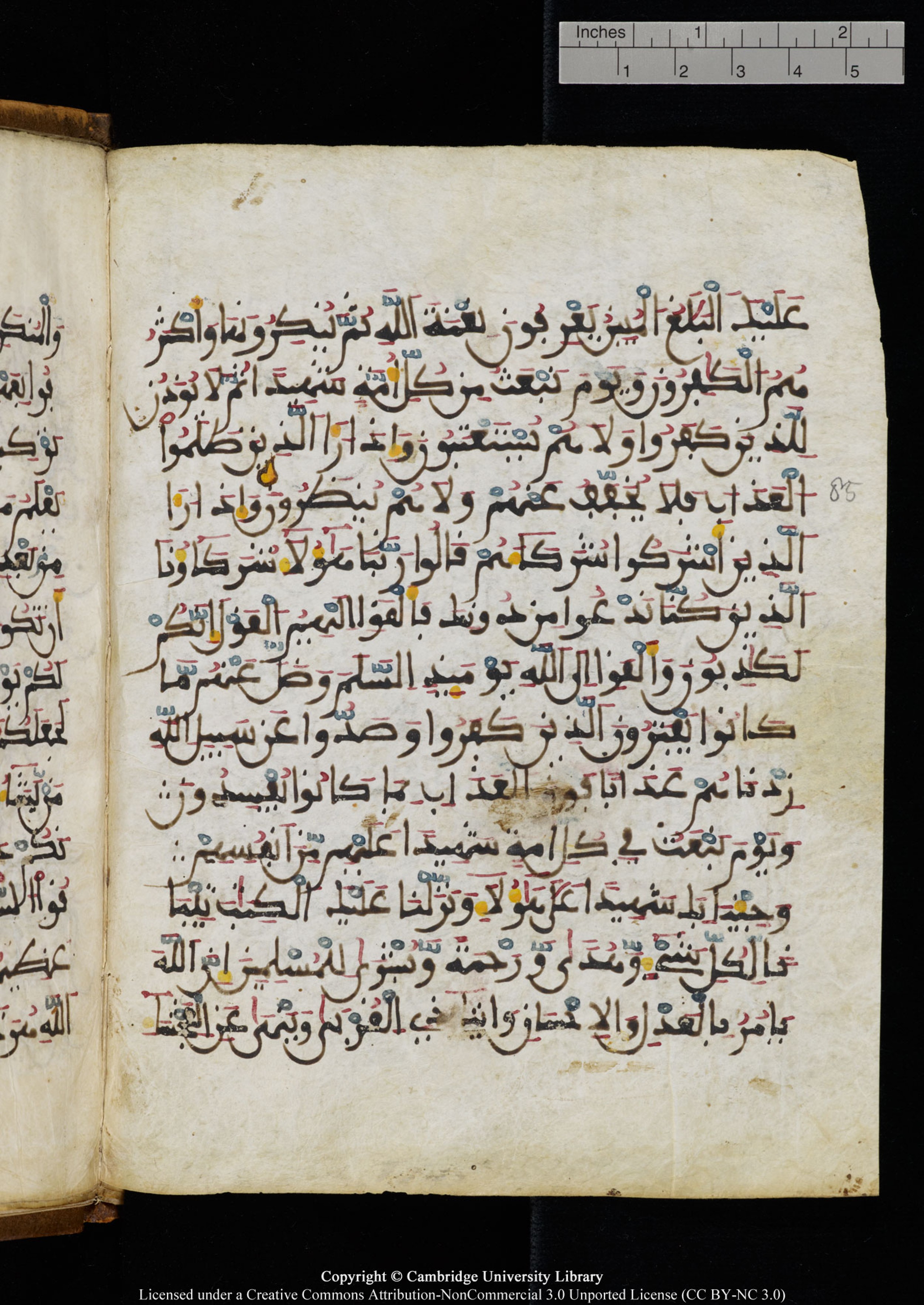 Cambridge University Library MS Add.1131 (Scan 2), in Maġribī round script script, showing Surah 16:82 from Late 11th / 12th Century AD found in Sinai Peninsula (originating in al-Andalus), currently housed at Cambridge University Library, Cambridge