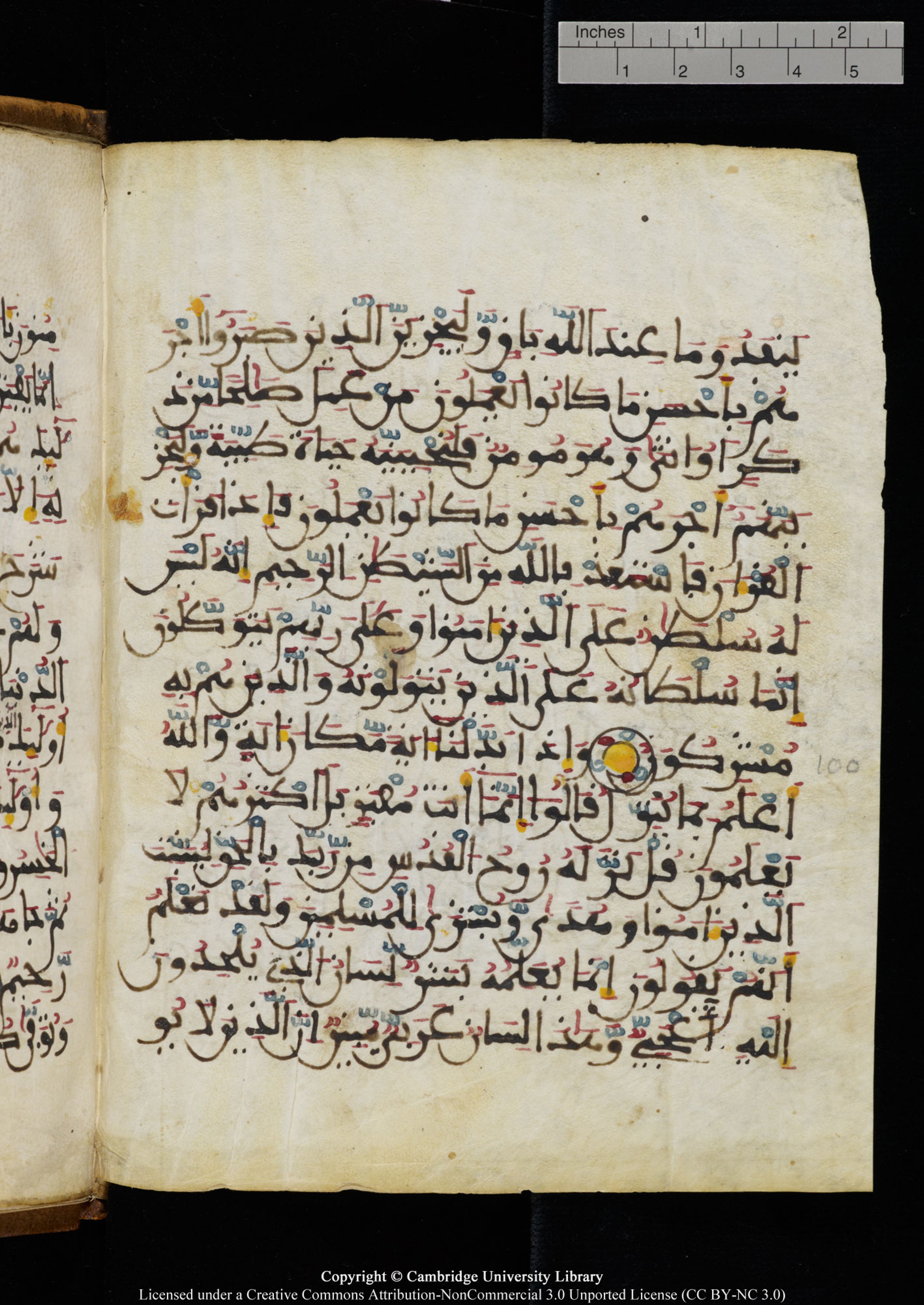 Cambridge University Library MS Add.1131, in Maġribī round script script, showing Surah 16:97 from Late 11th / 12th Century AD found in Sinai Peninsula (originating in al-Andalus), currently housed at Cambridge University Library, Cambridge