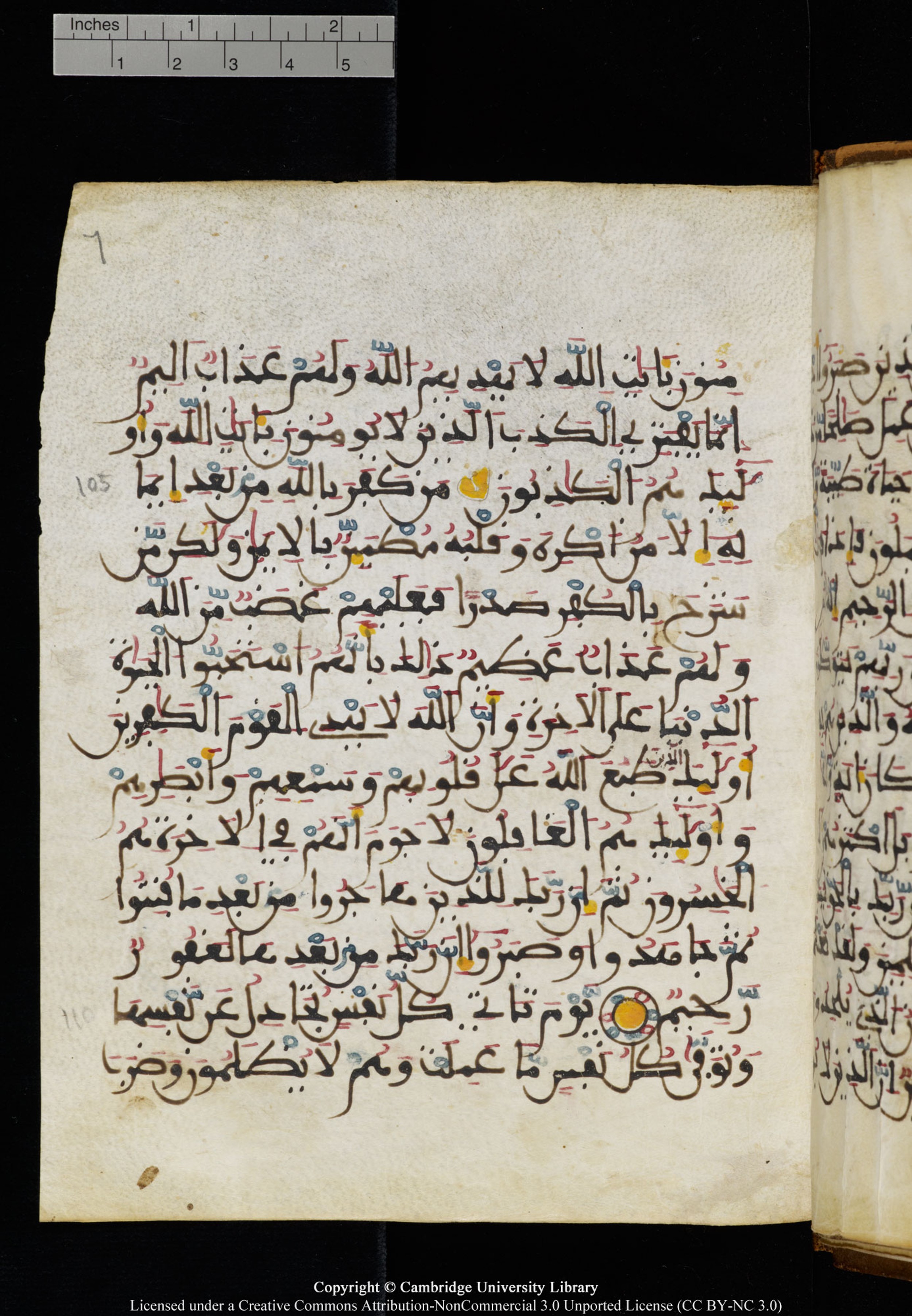 Cambridge University Library MS Add.1131, in Maġribī round script script, showing Surah 16:110 from Late 11th / 12th Century AD found in Sinai Peninsula (originating in al-Andalus), currently housed at Cambridge University Library, Cambridge