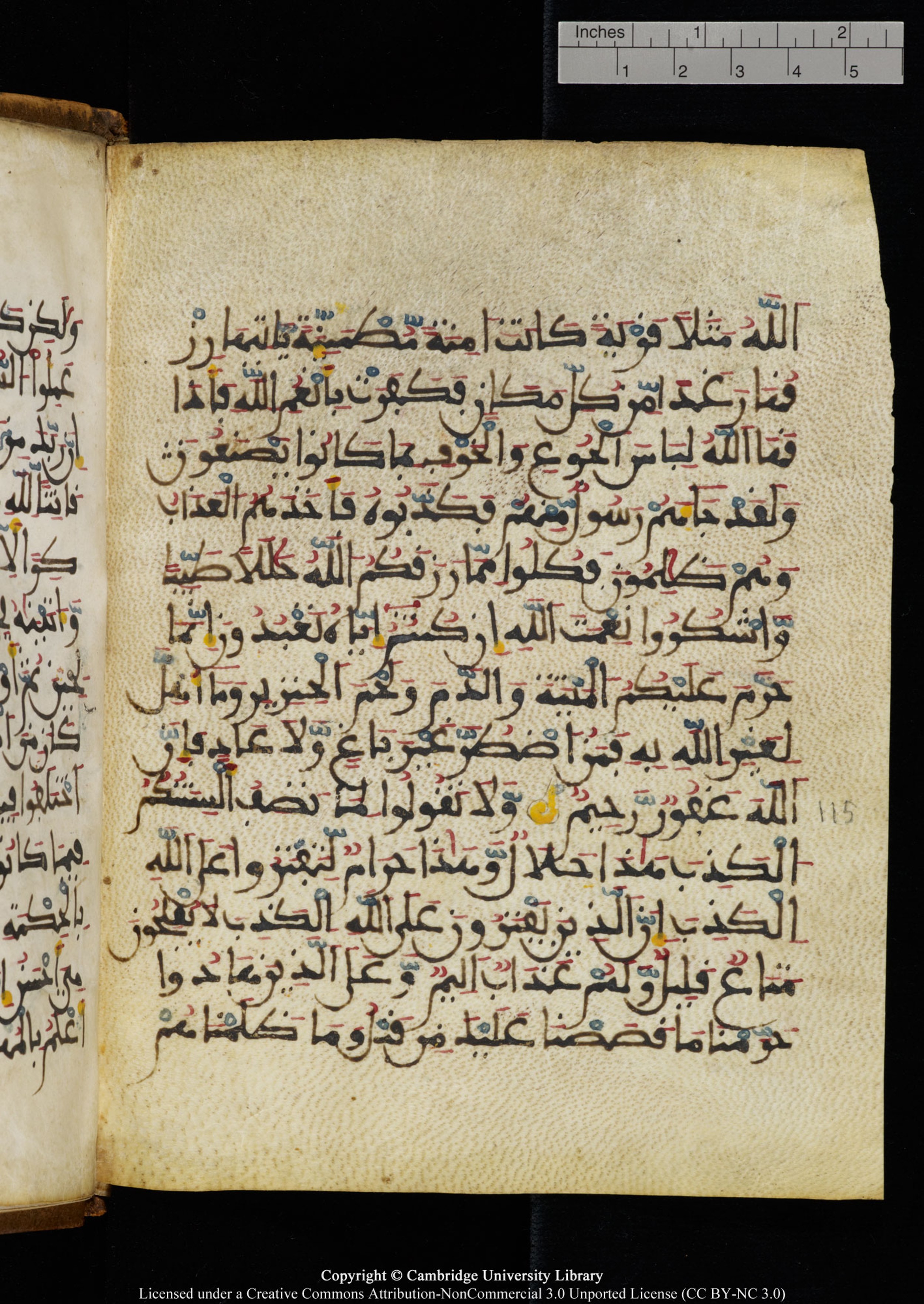 Cambridge University Library MS Add.1131, in Maġribī round script script, showing Surah 16:113 from Late 11th / 12th Century AD found in Sinai Peninsula (originating in al-Andalus), currently housed at Cambridge University Library, Cambridge