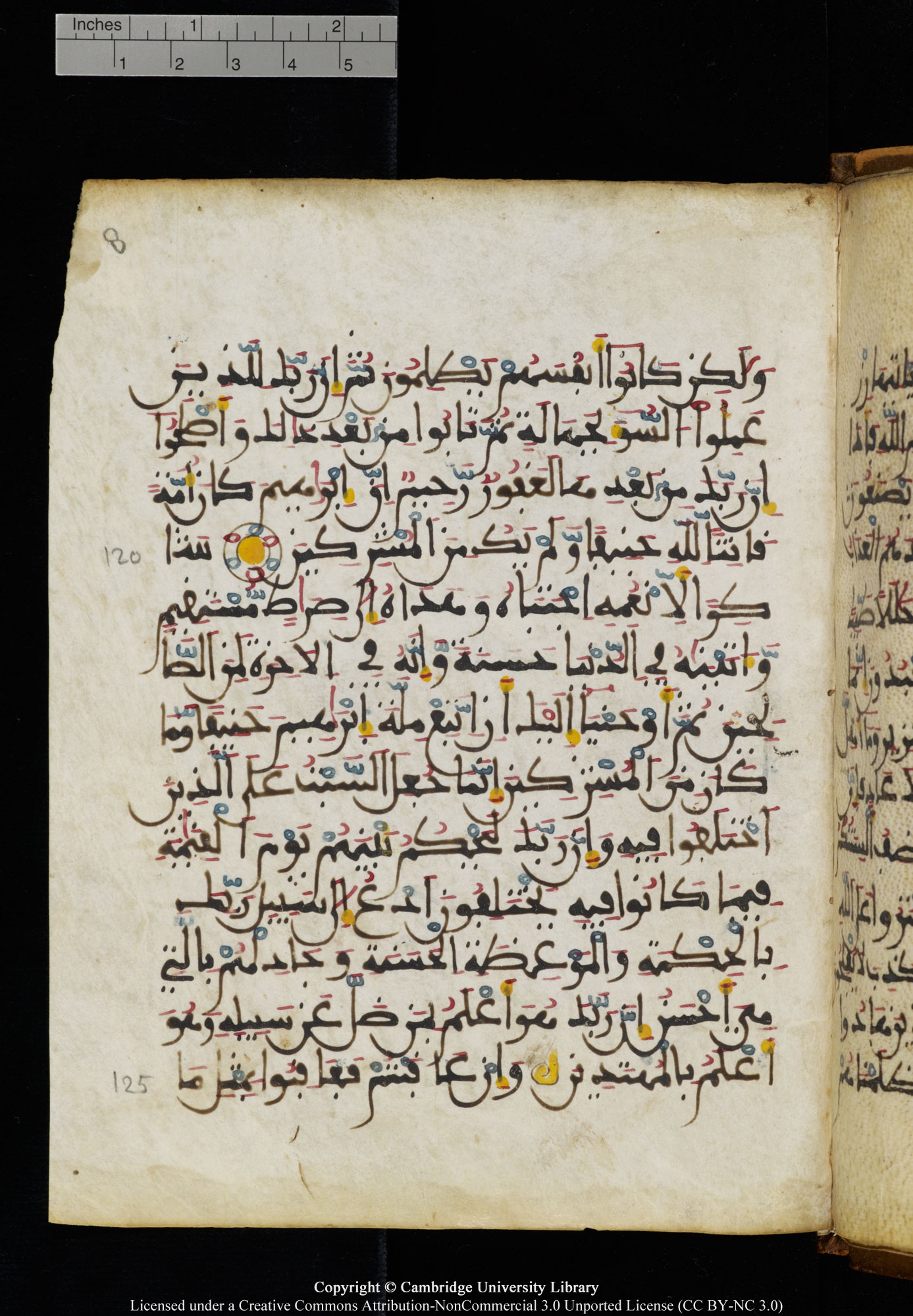 Cambridge University Library MS Add.1131, in Maġribī round script script, showing Surah 16:124 from Late 11th / 12th Century AD found in Sinai Peninsula (originating in al-Andalus), currently housed at Cambridge University Library, Cambridge