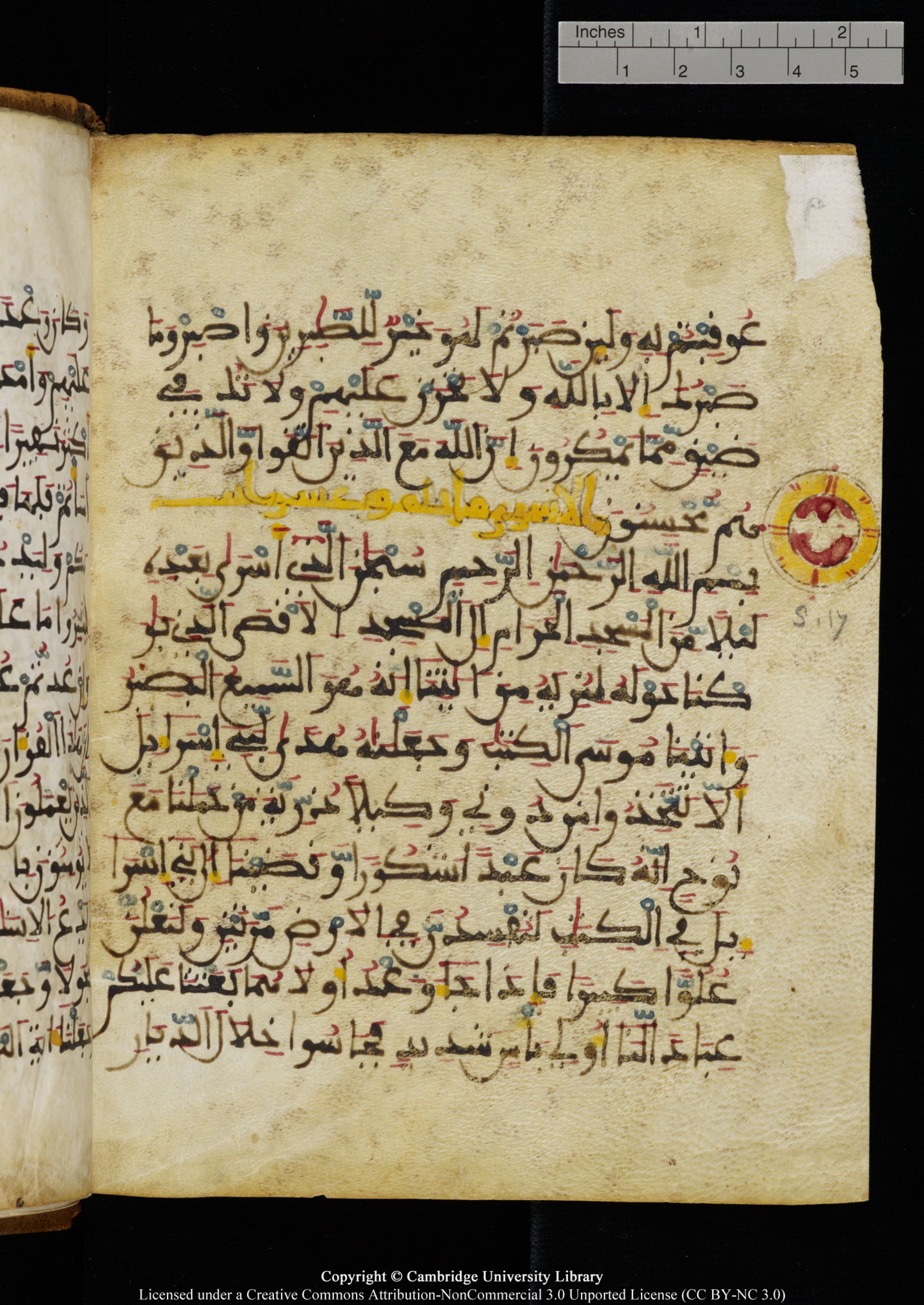 Cambridge University Library MS Add.1131, in Maġribī round script script, showing Surah 17:3 from Late 11th / 12th Century AD found in Sinai Peninsula (originating in al-Andalus), currently housed at Cambridge University Library, Cambridge