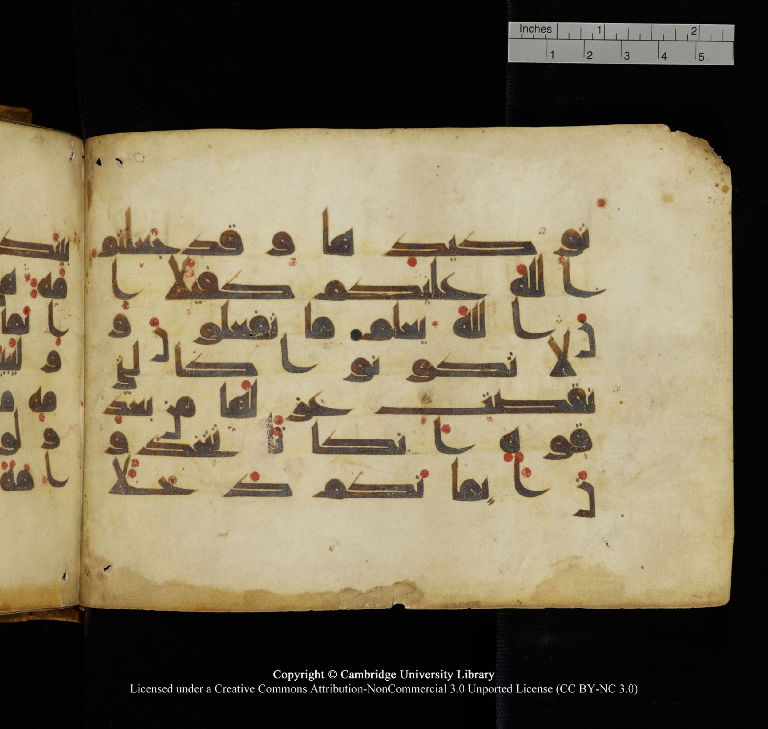 Cambridge University Library, MS Add.1132 (Scan 2), in Kūfī D.I script, showing Surah 16:91 from 9th or 10th Century AD found in Sinai Peninsula, currently housed at Cambridge University Library, Cambridge, UK