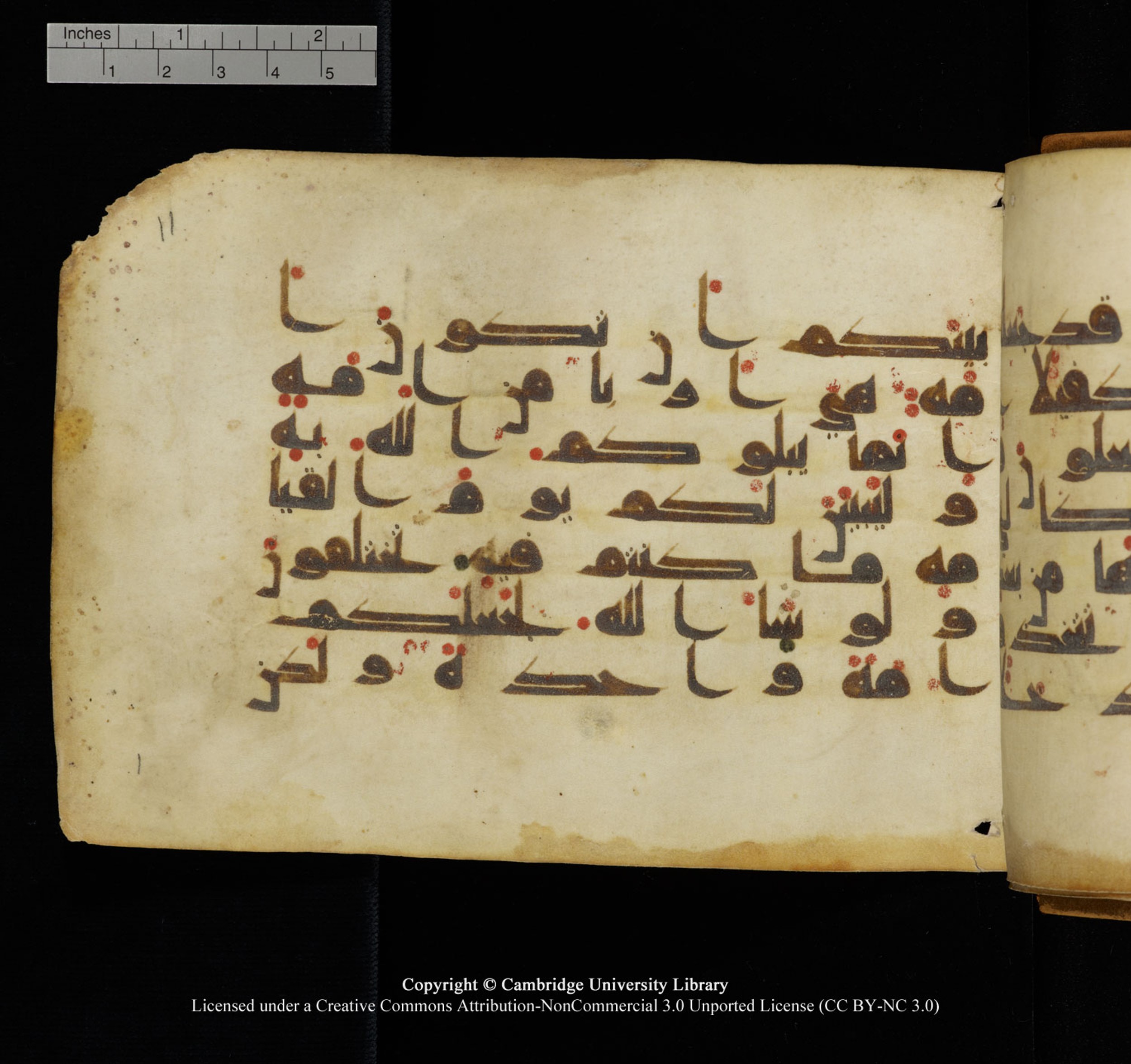 Cambridge University Library, MS Add.1132 (Scan 1), in Kūfī D.I script, showing Surah 16:93 from 9th or 10th Century AD found in Sinai Peninsula, currently housed at Cambridge University Library, Cambridge, UK