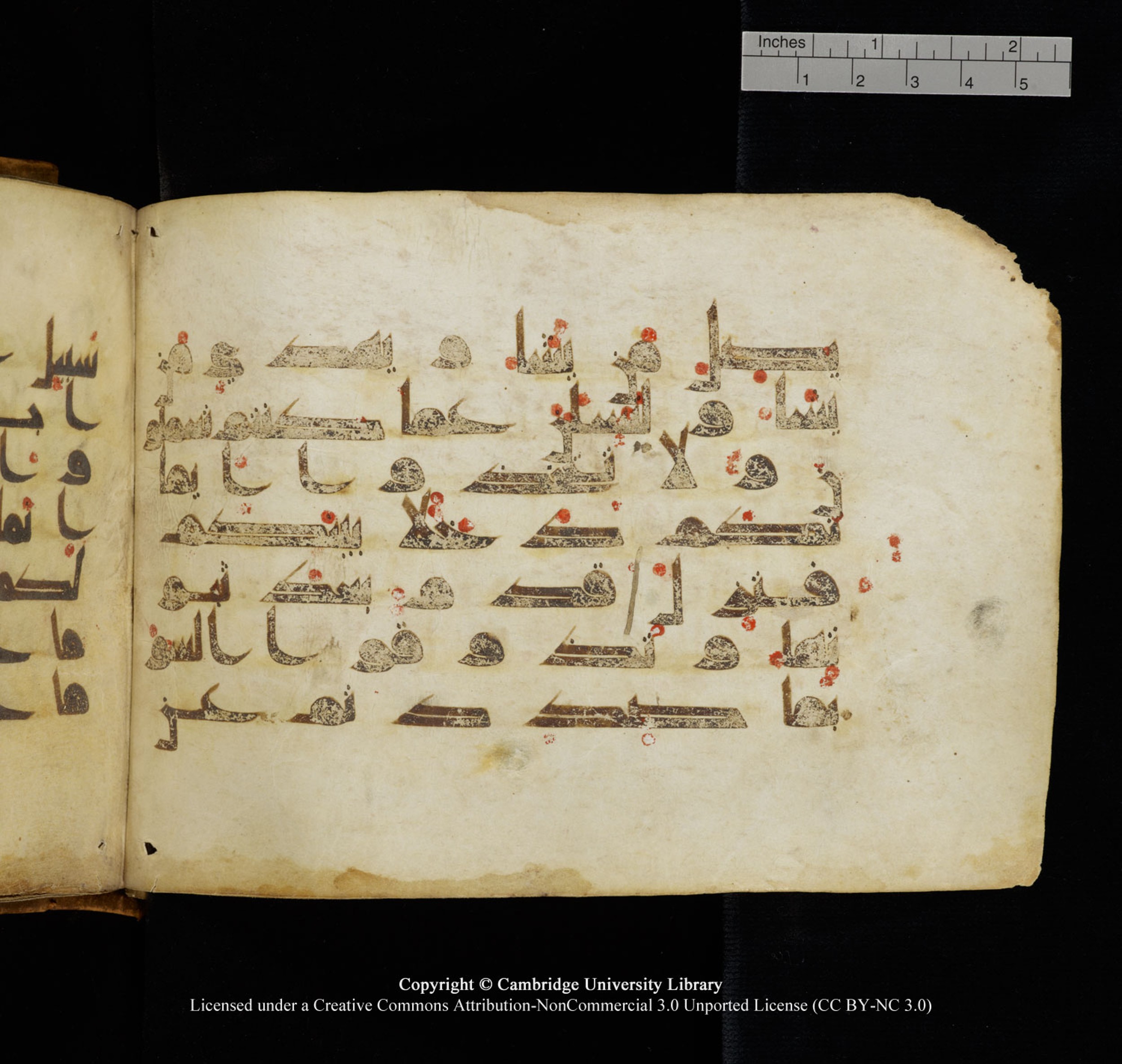 Cambridge University Library, MS Add.1132 (Scan 1), in Kūfī D.I script, showing Surah 16:94 from 9th or 10th Century AD found in Sinai Peninsula, currently housed at Cambridge University Library, Cambridge, UK