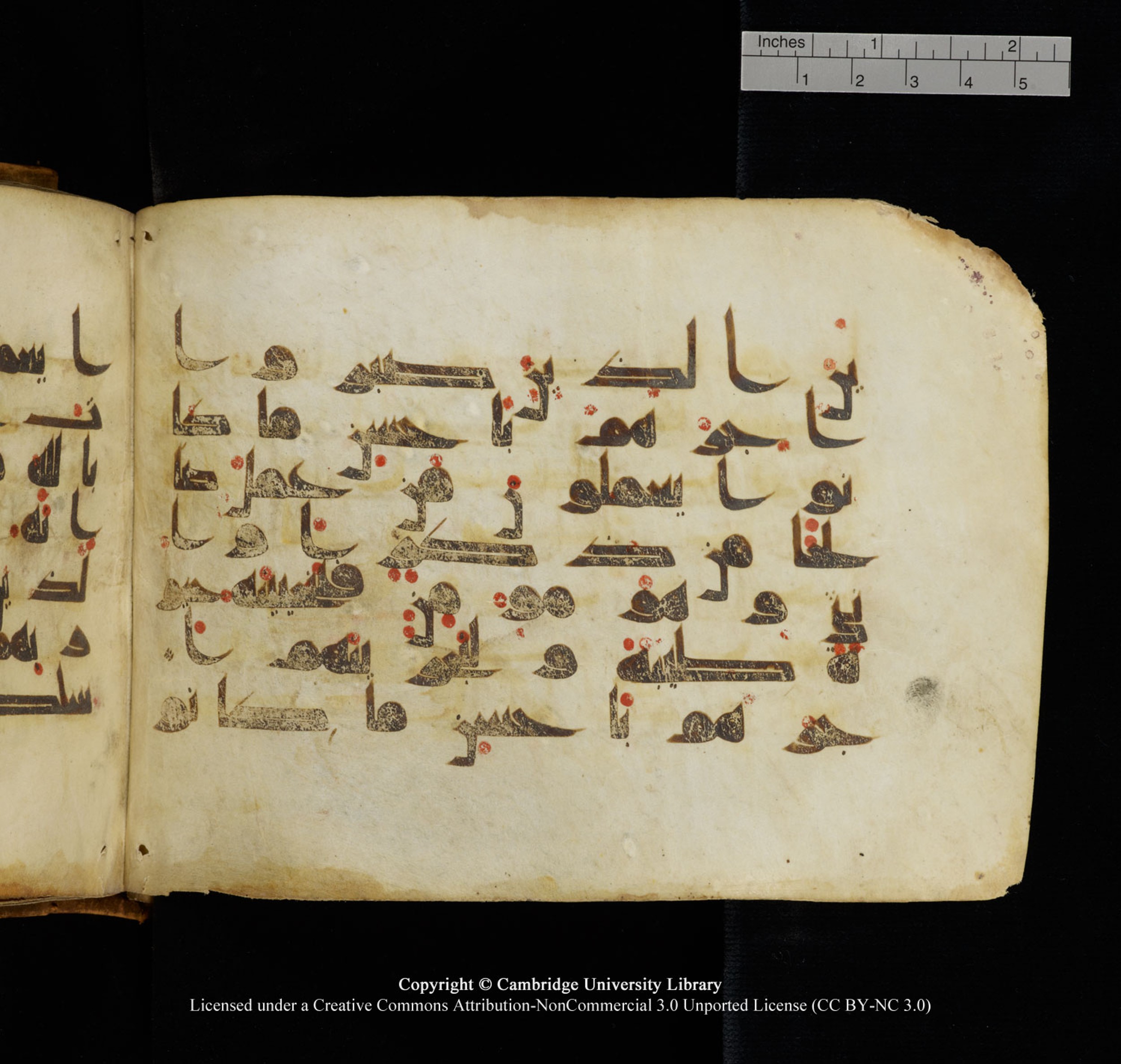 Cambridge University Library, MS Add.1132 (Scan 1), in Kūfī D.I script, showing Surah 16:97 from 9th or 10th Century AD found in Sinai Peninsula, currently housed at Cambridge University Library, Cambridge, UK