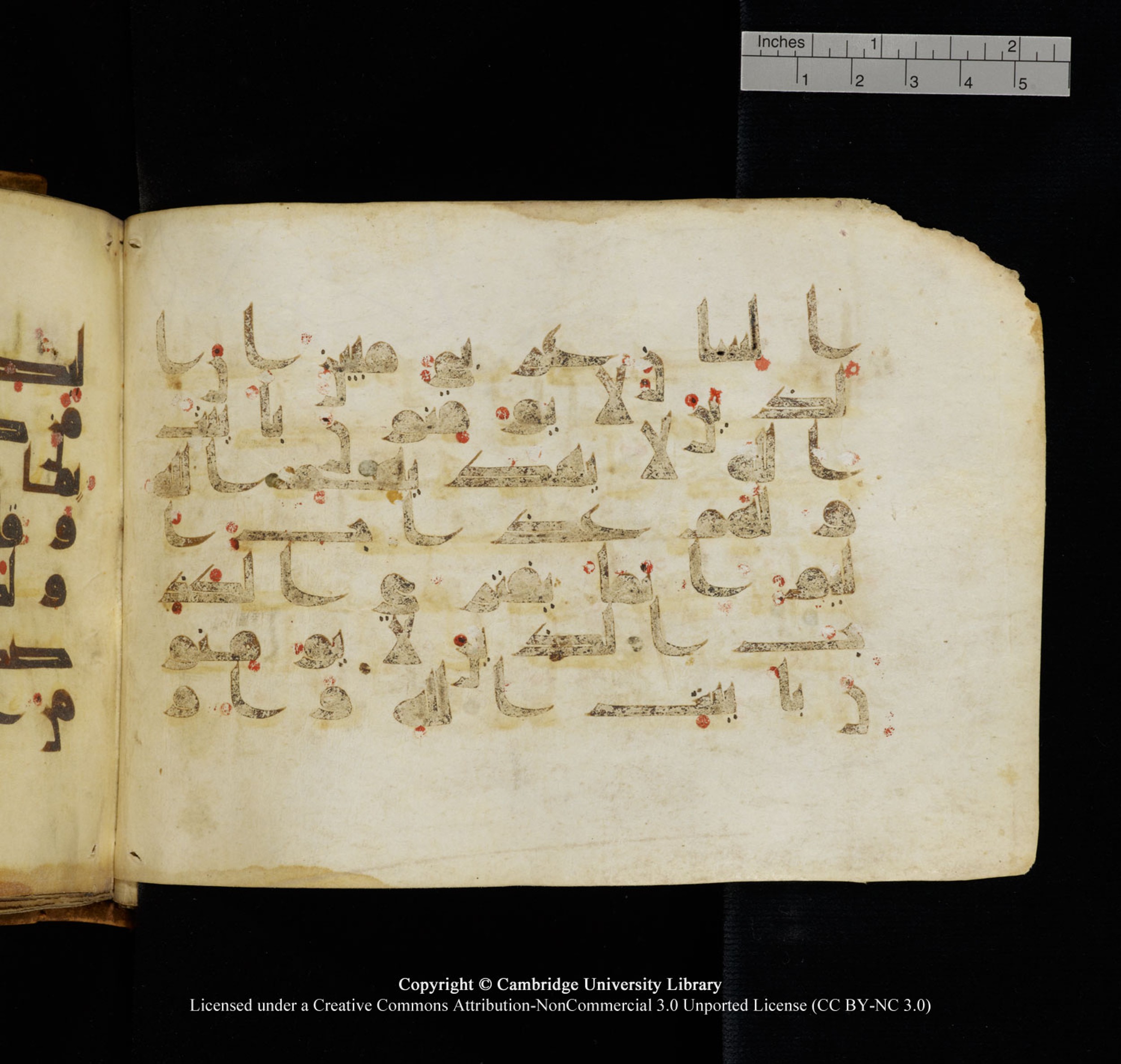 Cambridge University Library, MS Add.1132, in Kūfī D.I script, showing Surah 16:104 from 9th or 10th Century AD found in Sinai Peninsula, currently housed at Cambridge University Library, Cambridge, UK