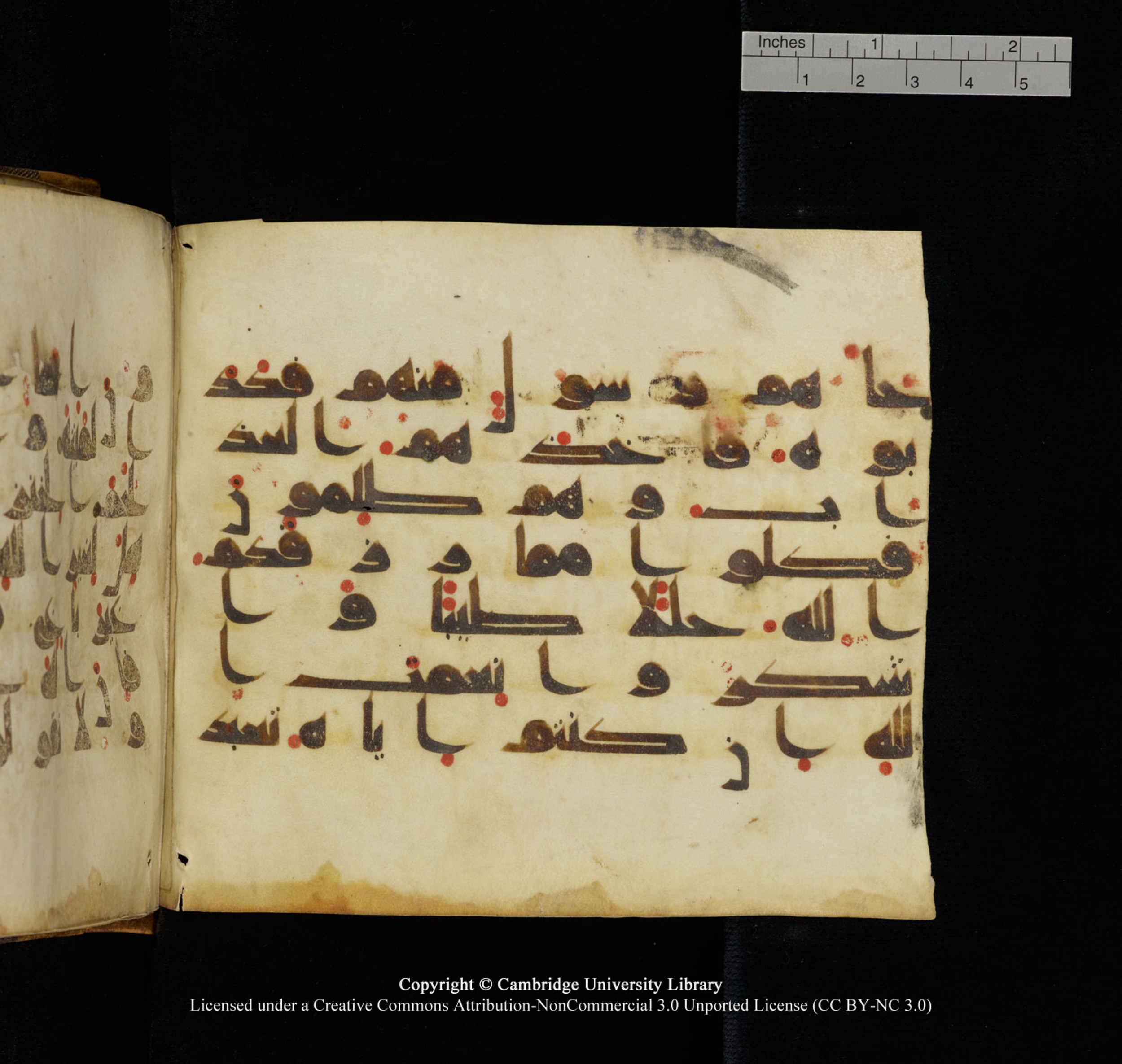 Cambridge University Library, MS Add.1132 (Scan 2), in Kūfī D.I script, showing Surah 16:113 from 9th or 10th Century AD found in Sinai Peninsula, currently housed at Cambridge University Library, Cambridge, UK