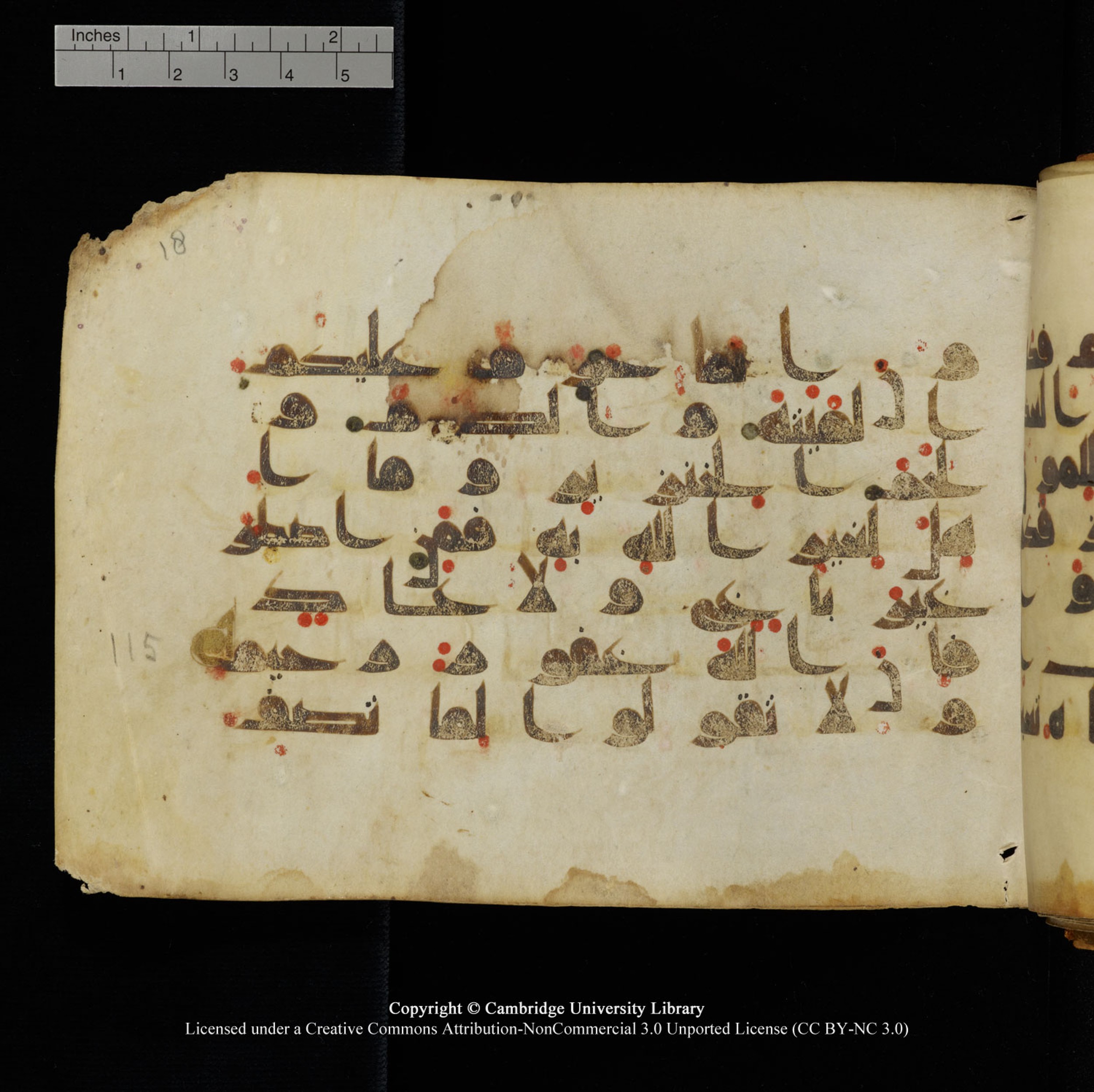 Cambridge University Library, MS Add.1132 (Scan 1), in Kūfī D.I script, showing Surah 16:116 from 9th or 10th Century AD found in Sinai Peninsula, currently housed at Cambridge University Library, Cambridge, UK