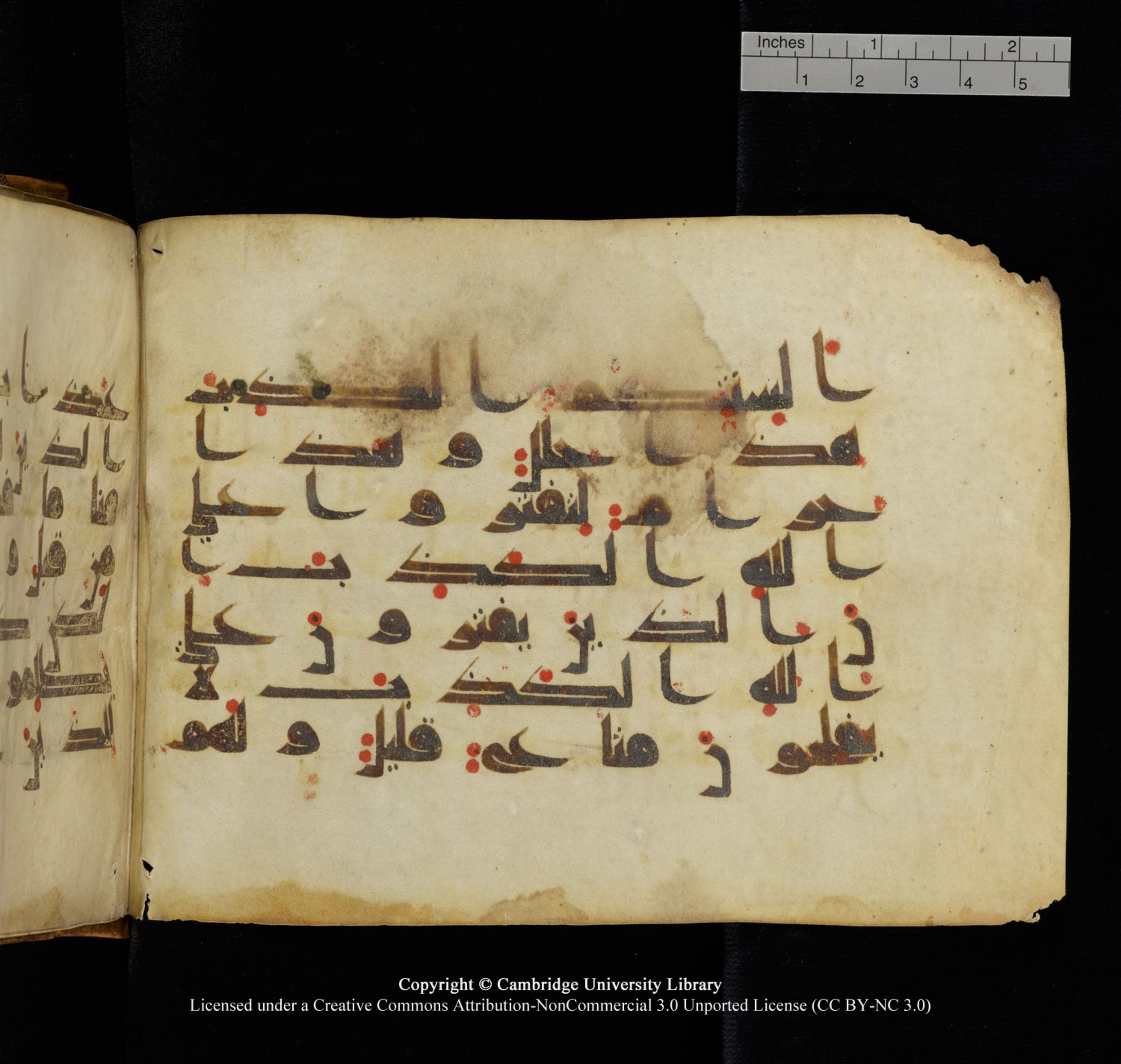 Cambridge University Library, MS Add.1132 (Scan 2), in Kūfī D.I script, showing Surah 16:116 from 9th or 10th Century AD found in Sinai Peninsula, currently housed at Cambridge University Library, Cambridge, UK