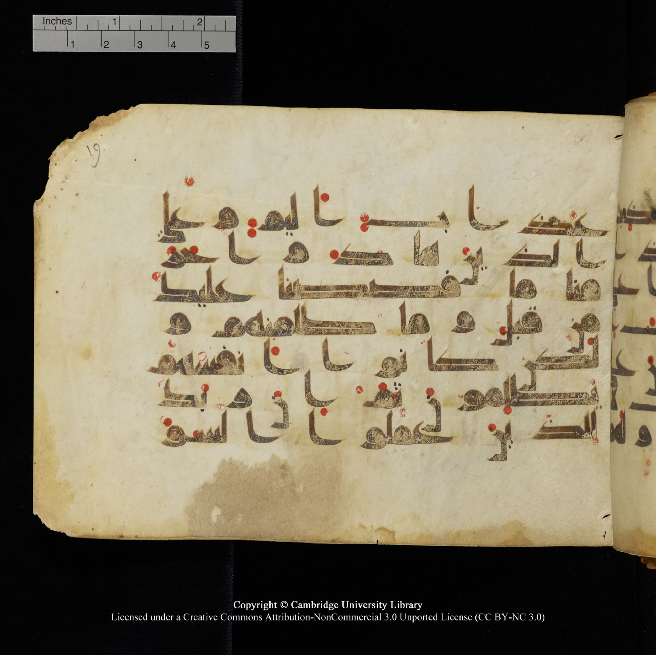 Cambridge University Library, MS Add.1132 (Scan 1), in Kūfī D.I script, showing Surah 16:119 from 9th or 10th Century AD found in Sinai Peninsula, currently housed at Cambridge University Library, Cambridge, UK