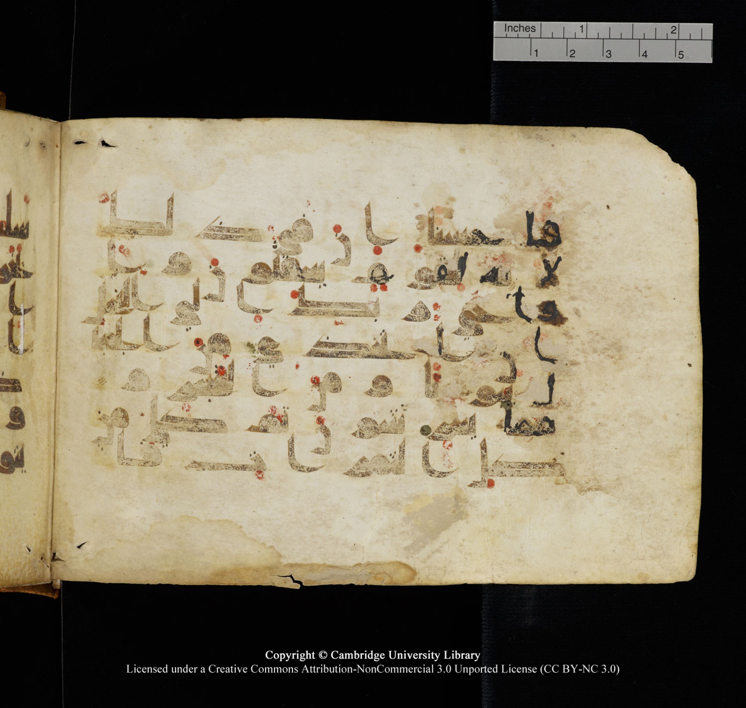 Cambridge University Library, MS Add.1132 (Scan 1), in Kūfī D.I script, showing Surah 16:69 from 9th or 10th Century AD found in Sinai Peninsula, currently housed at Cambridge University Library, Cambridge, UK