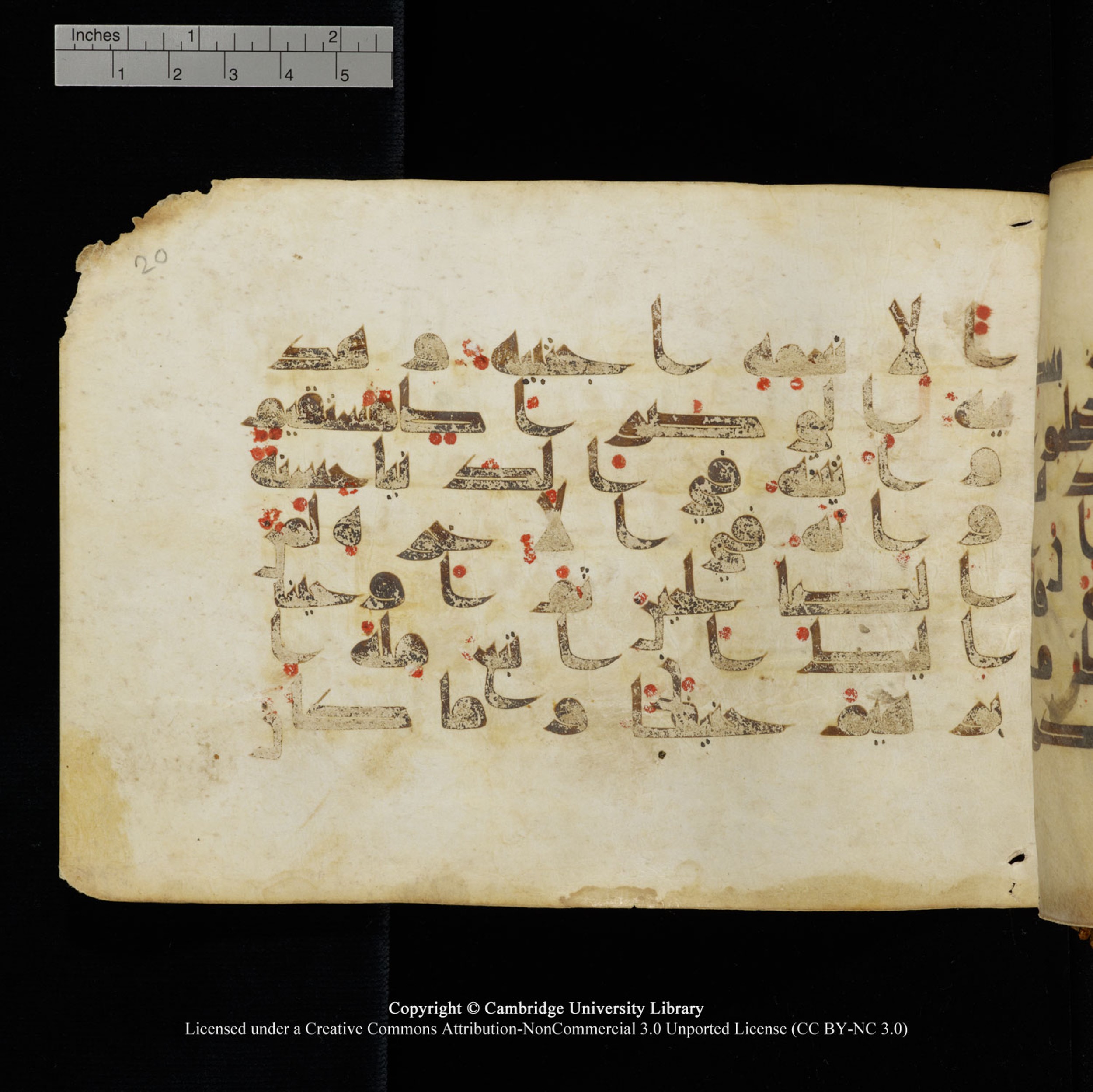 Cambridge University Library, MS Add.1132 (Scan 2), in Kūfī D.I script, showing Surah 16:121 from 9th or 10th Century AD found in Sinai Peninsula, currently housed at Cambridge University Library, Cambridge, UK