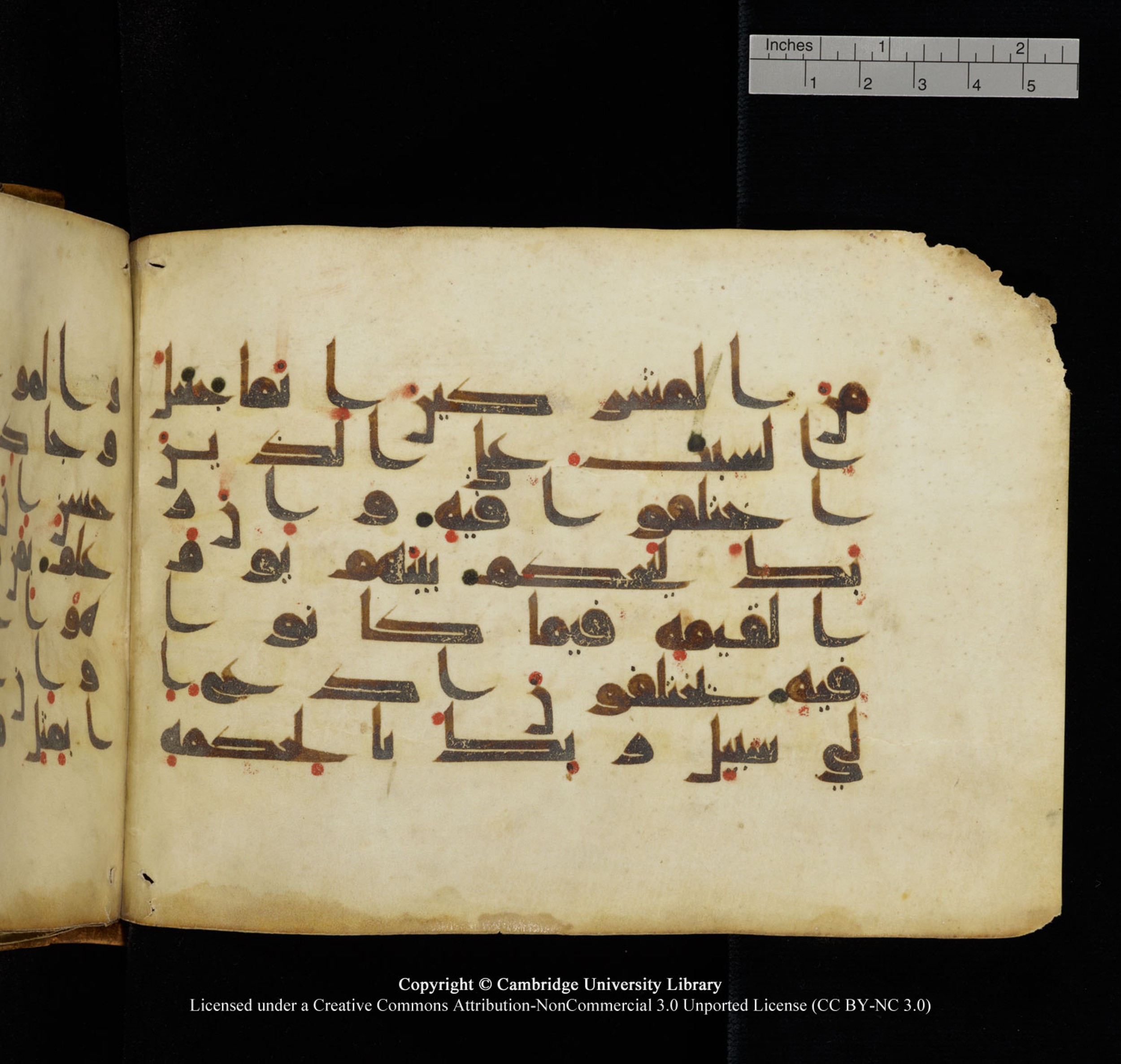 Cambridge University Library, MS Add.1132, in Kūfī D.I script, showing Surah 16:124 from 9th or 10th Century AD found in Sinai Peninsula, currently housed at Cambridge University Library, Cambridge, UK