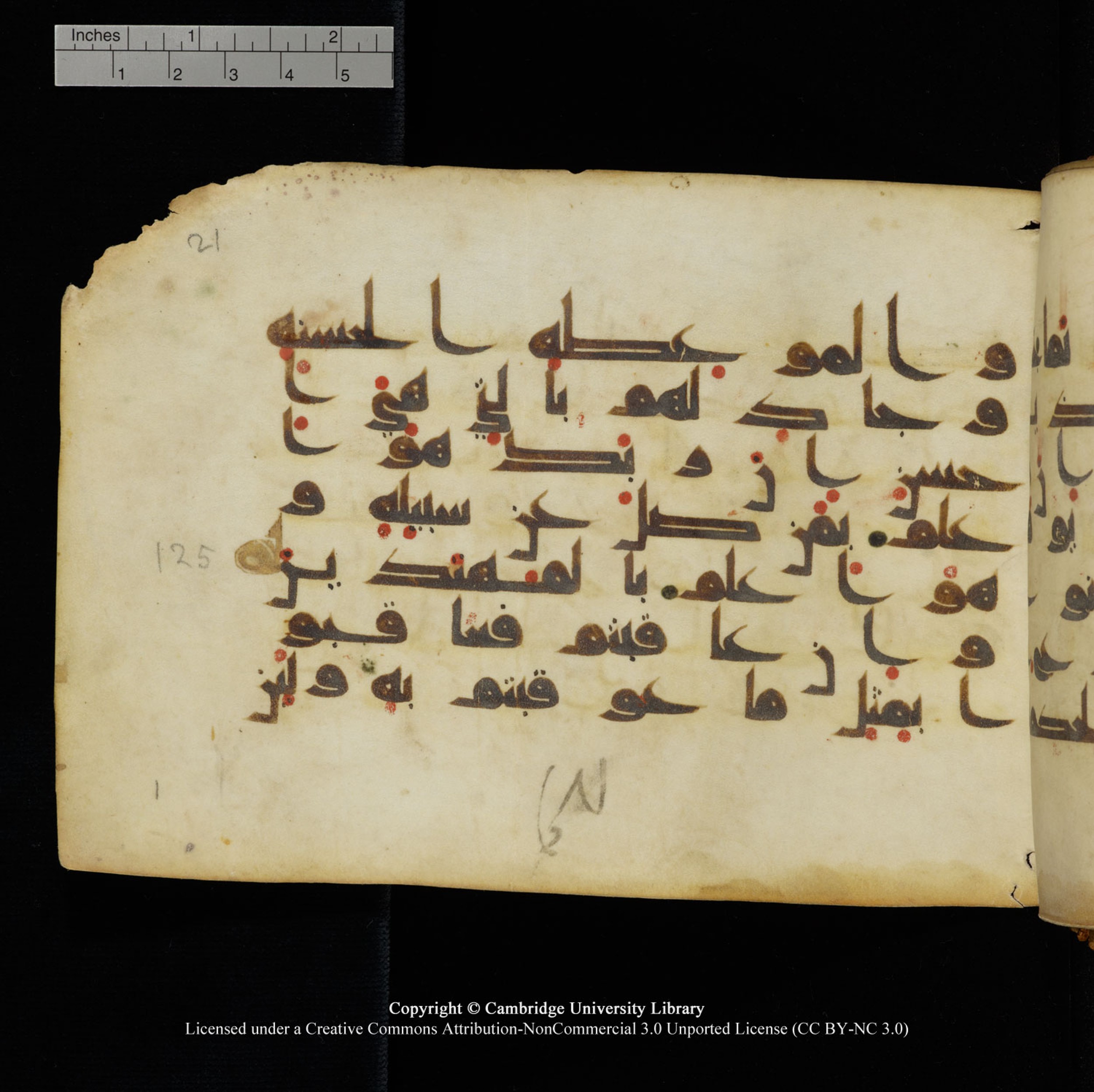 Cambridge University Library, MS Add.1132 (Scan 1), in Kūfī D.I script, showing Surah 16:126 from 9th or 10th Century AD found in Sinai Peninsula, currently housed at Cambridge University Library, Cambridge, UK