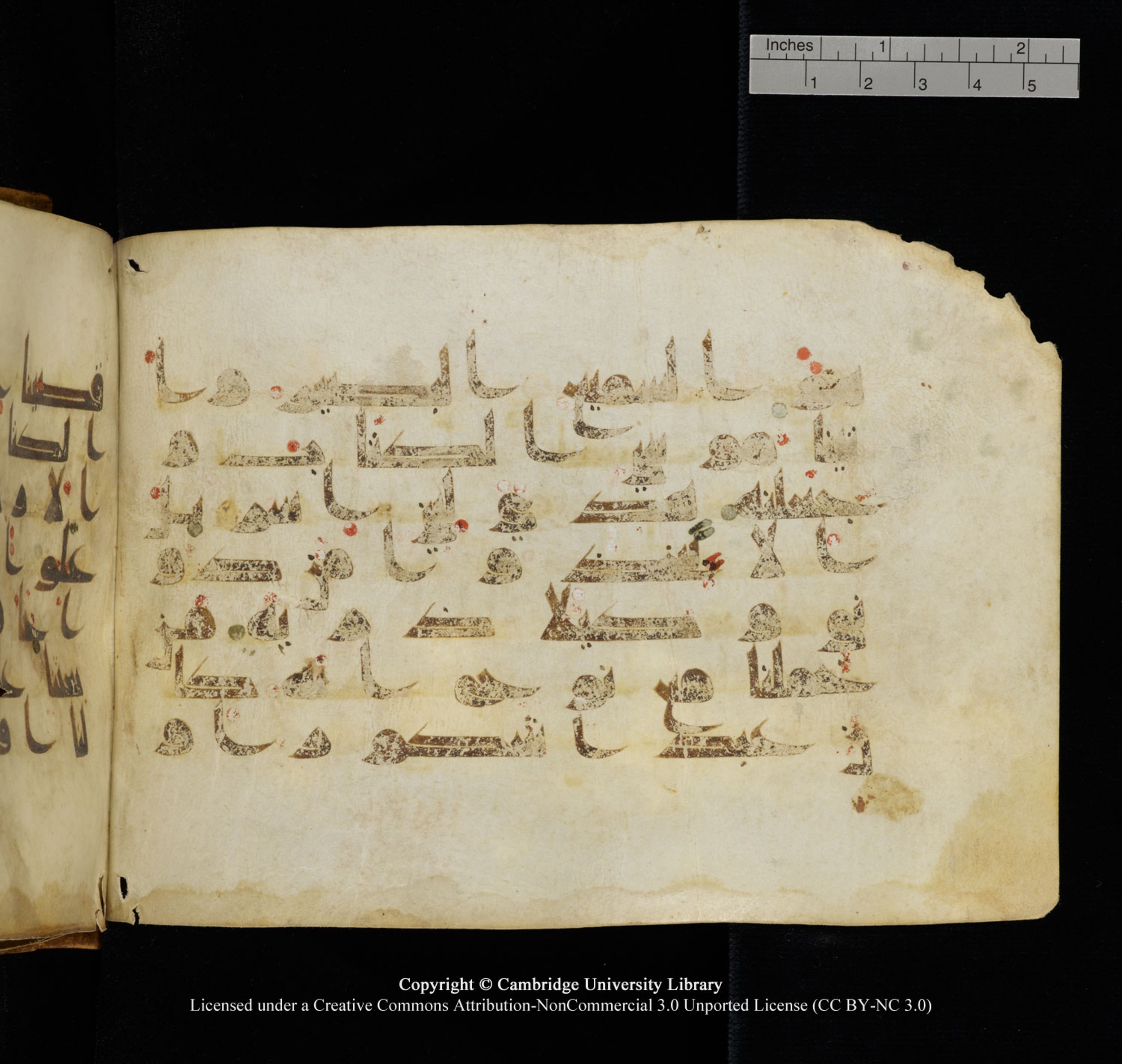 Cambridge University Library, MS Add.1132, in Kūfī D.I script, showing Surah 17:3 from 9th or 10th Century AD found in Sinai Peninsula, currently housed at Cambridge University Library, Cambridge, UK