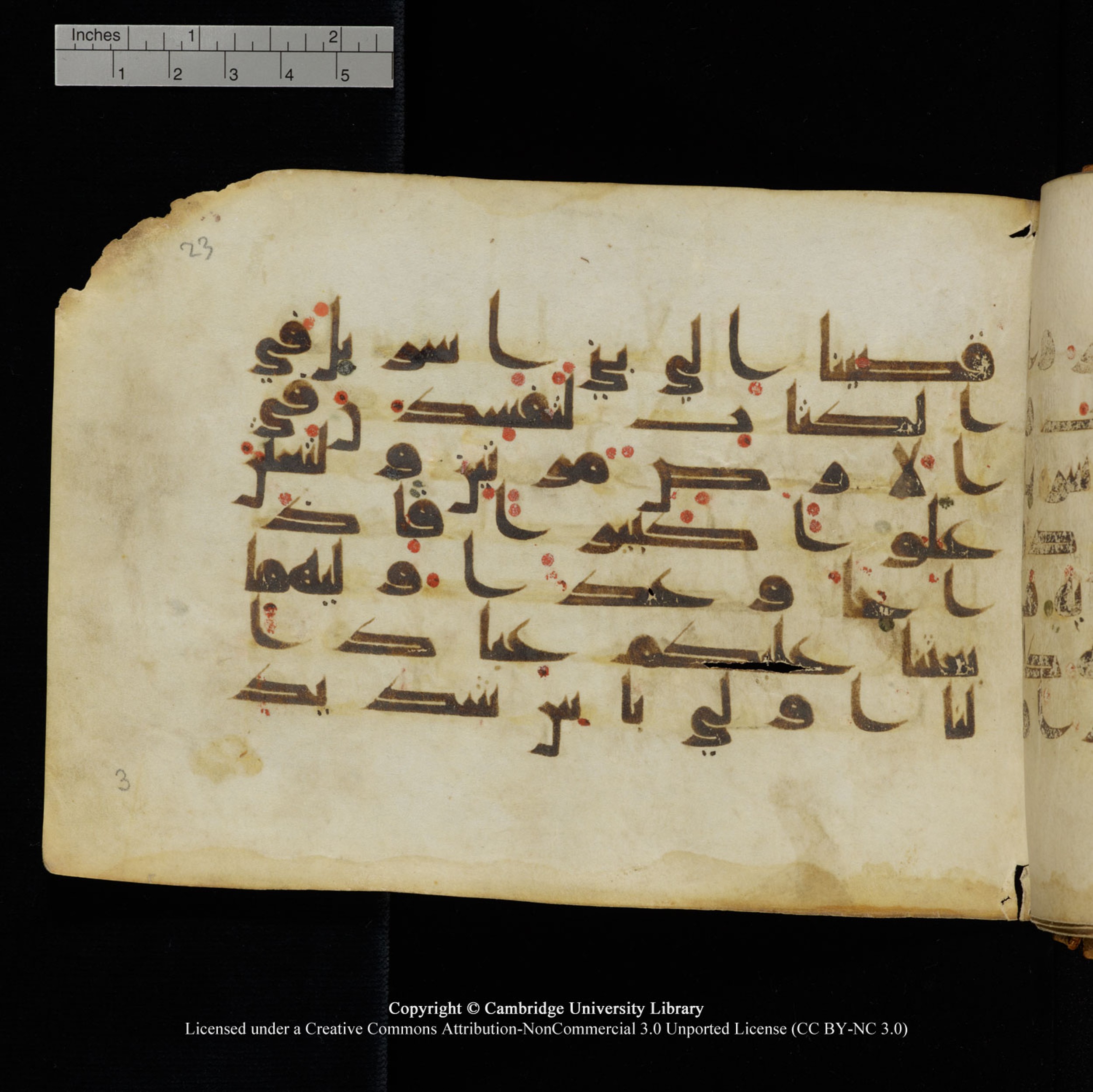 Cambridge University Library, MS Add.1132, in Kūfī D.I script, showing Surah 17:4 from 9th or 10th Century AD found in Sinai Peninsula, currently housed at Cambridge University Library, Cambridge, UK