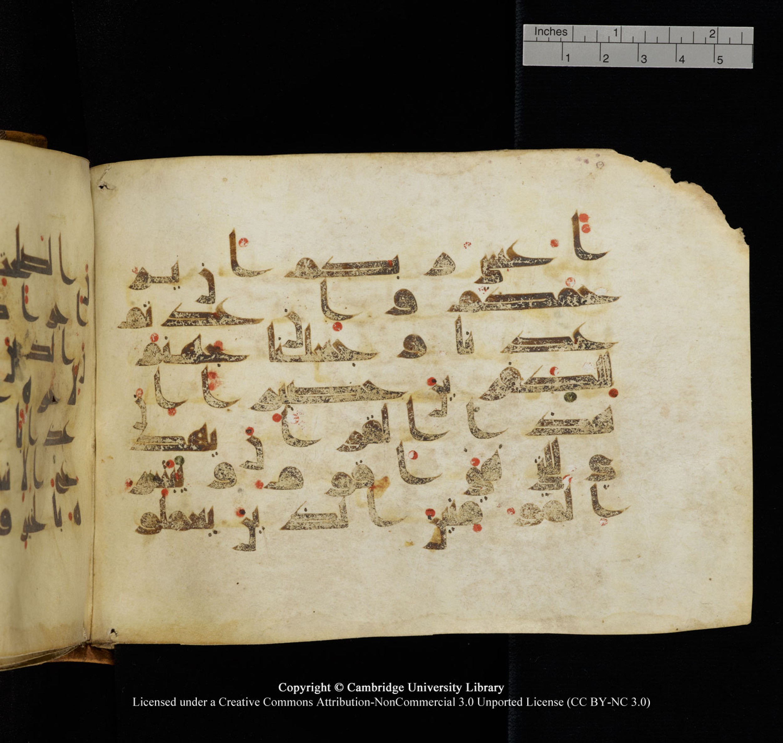 Cambridge University Library, MS Add.1132, in Kūfī D.I script, showing Surah 17:8 from 9th or 10th Century AD found in Sinai Peninsula, currently housed at Cambridge University Library, Cambridge, UK