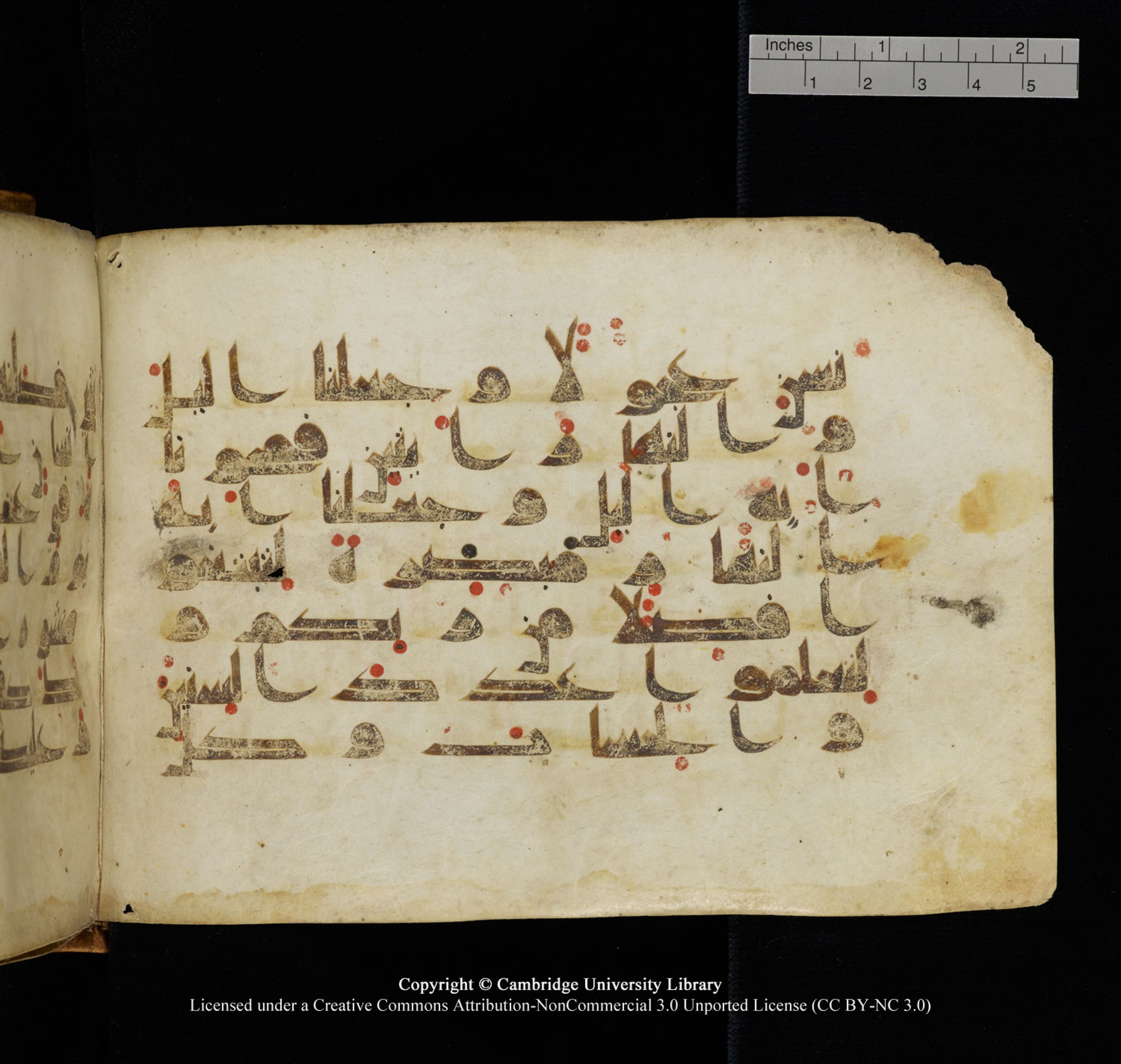 Cambridge University Library, MS Add.1132 (Scan 2), in Kūfī D.I script, showing Surah 17:11 from 9th or 10th Century AD found in Sinai Peninsula, currently housed at Cambridge University Library, Cambridge, UK