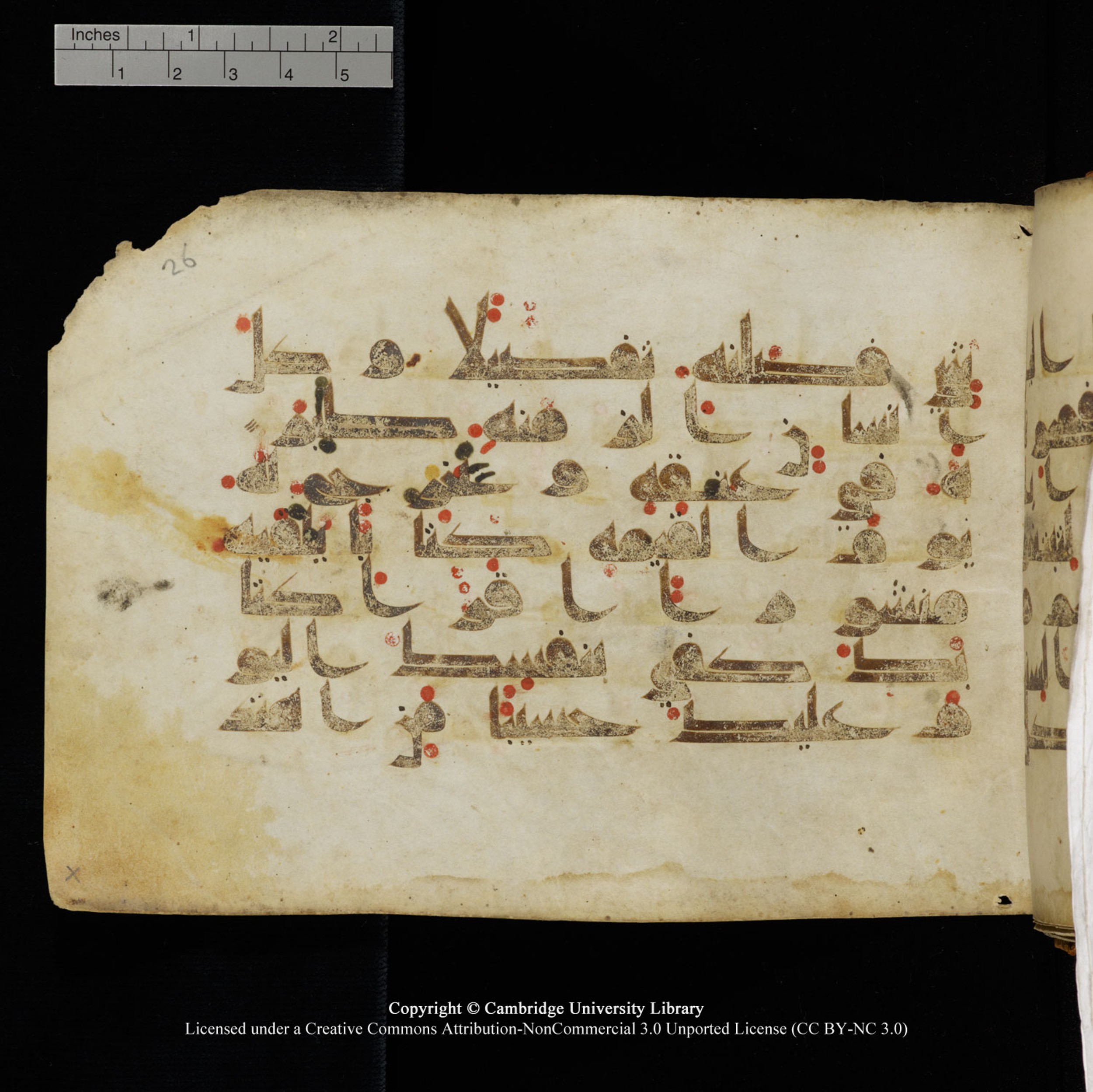 Cambridge University Library, MS Add.1132, in Kūfī D.I script, showing Surah 17:13 from 9th or 10th Century AD found in Sinai Peninsula, currently housed at Cambridge University Library, Cambridge, UK
