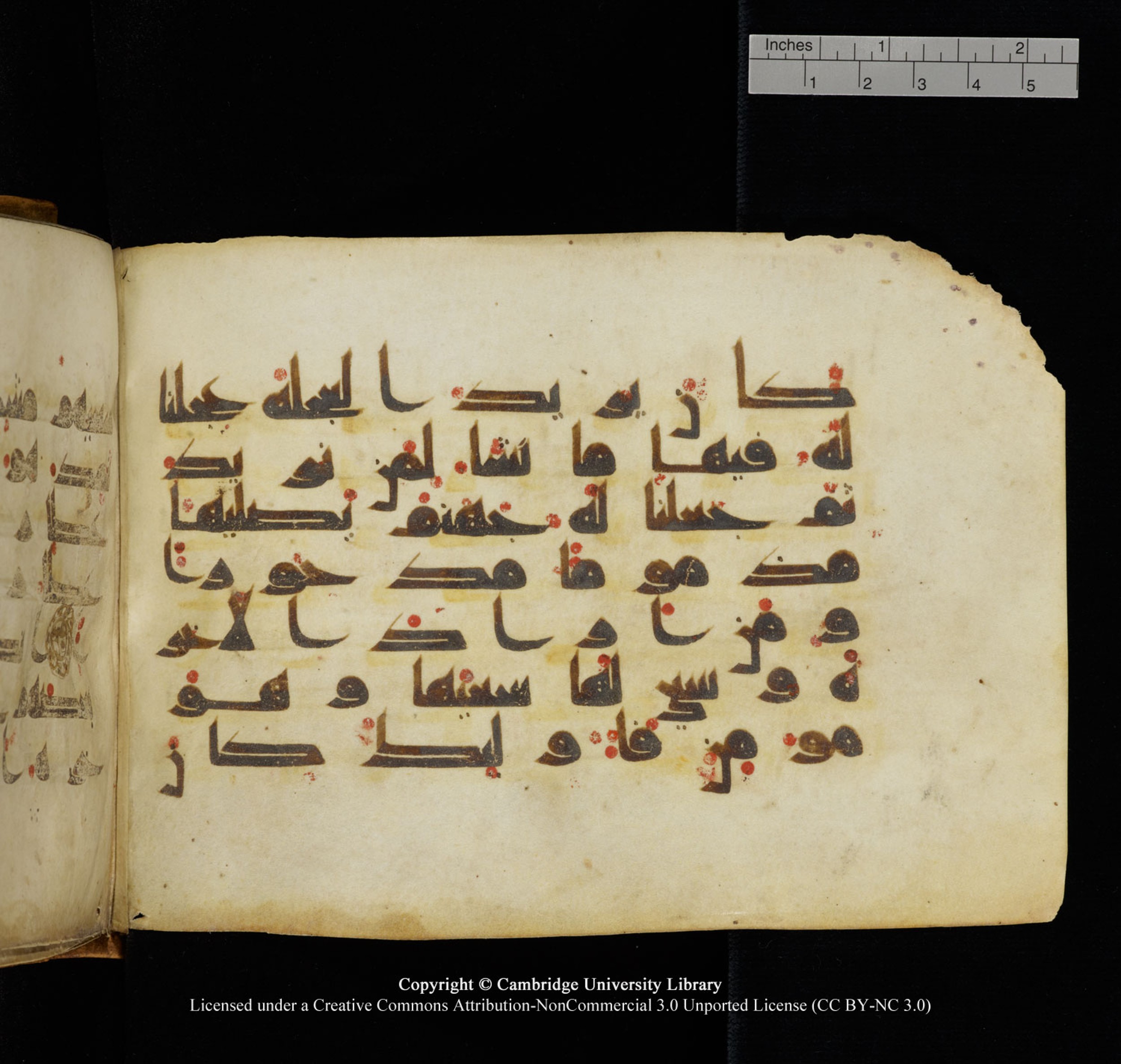 Cambridge University Library, MS Add.1132 (Scan 1), in Kūfī D.I script, showing Surah 17:19 from 9th or 10th Century AD found in Sinai Peninsula, currently housed at Cambridge University Library, Cambridge, UK