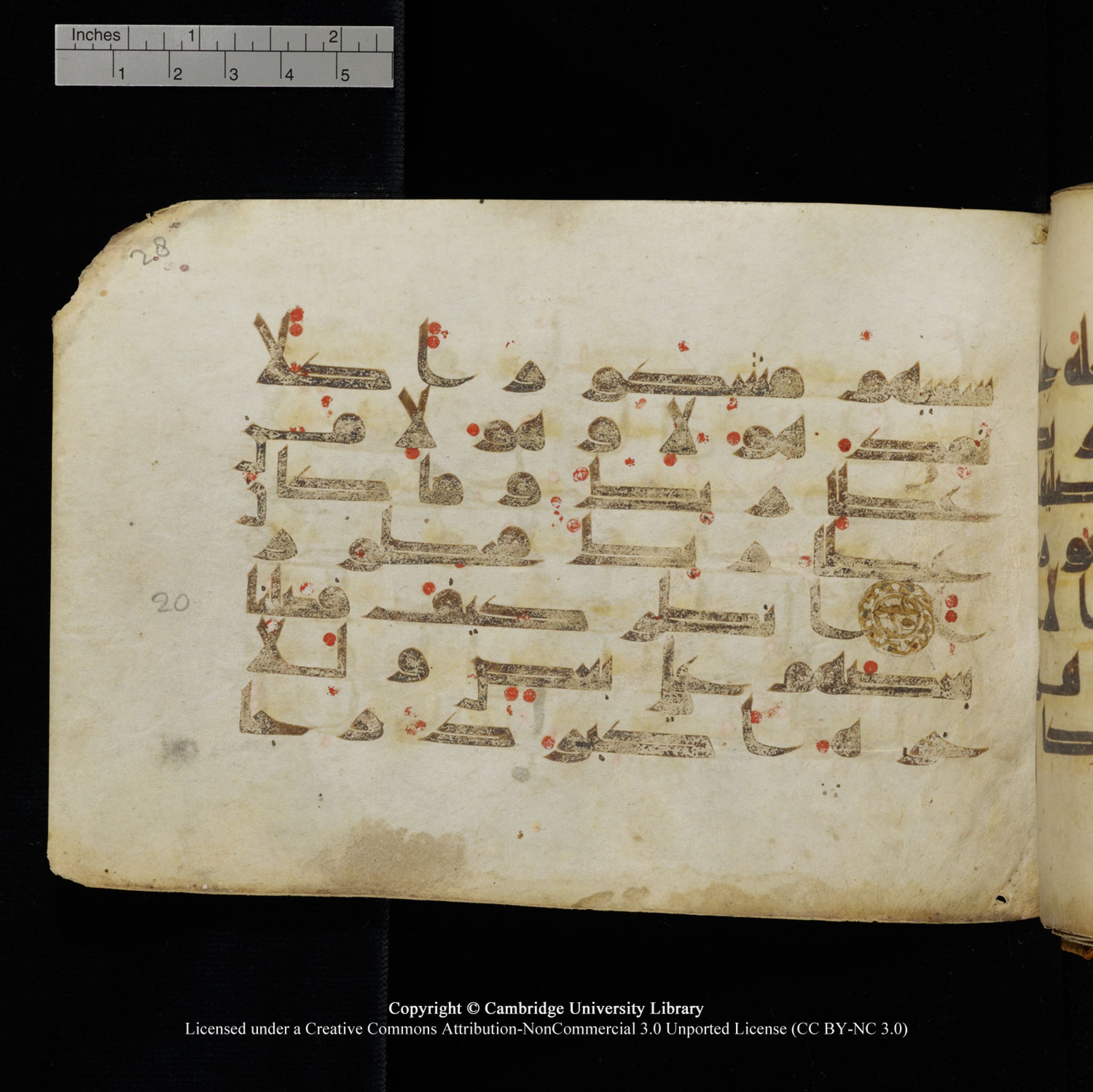 Cambridge University Library, MS Add.1132, in Kūfī D.I script, showing Surah 17:21 from 9th or 10th Century AD found in Sinai Peninsula, currently housed at Cambridge University Library, Cambridge, UK