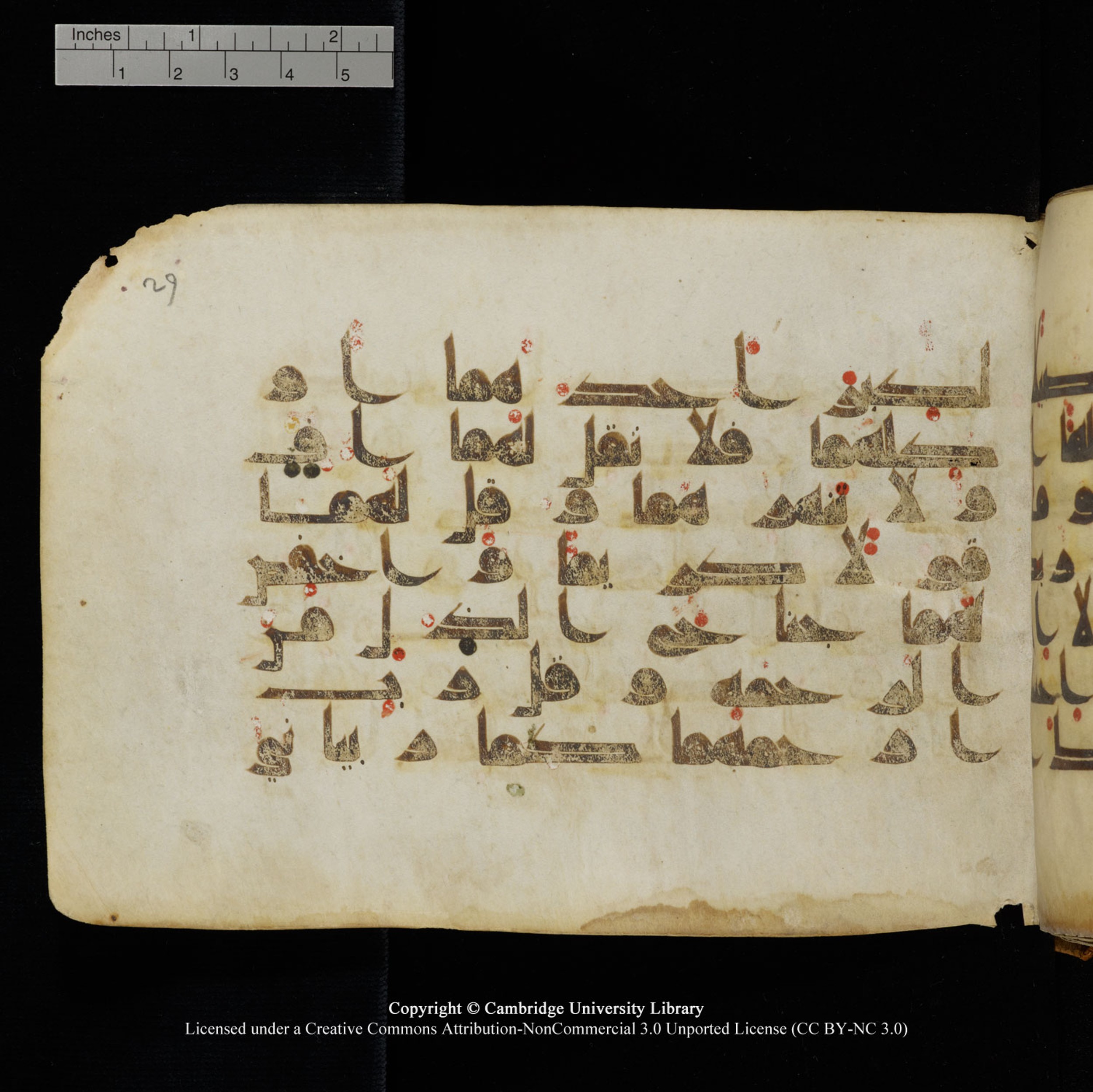 Cambridge University Library, MS Add.1132, in Kūfī D.I script, showing Surah 17:23 from 9th or 10th Century AD found in Sinai Peninsula, currently housed at Cambridge University Library, Cambridge, UK