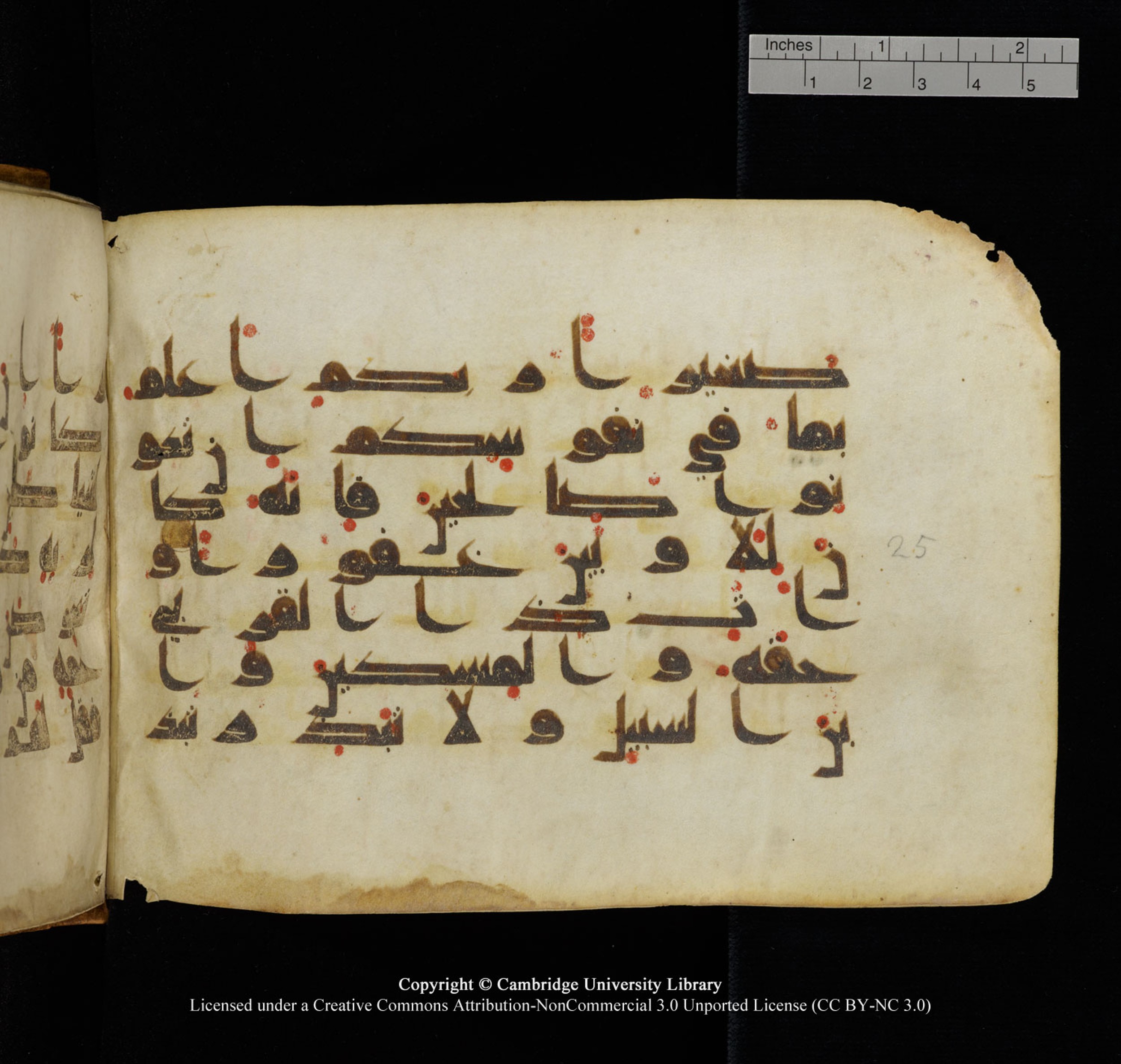 Cambridge University Library, MS Add.1132 (Scan 2), in Kūfī D.I script, showing Surah 17:24 from 9th or 10th Century AD found in Sinai Peninsula, currently housed at Cambridge University Library, Cambridge, UK