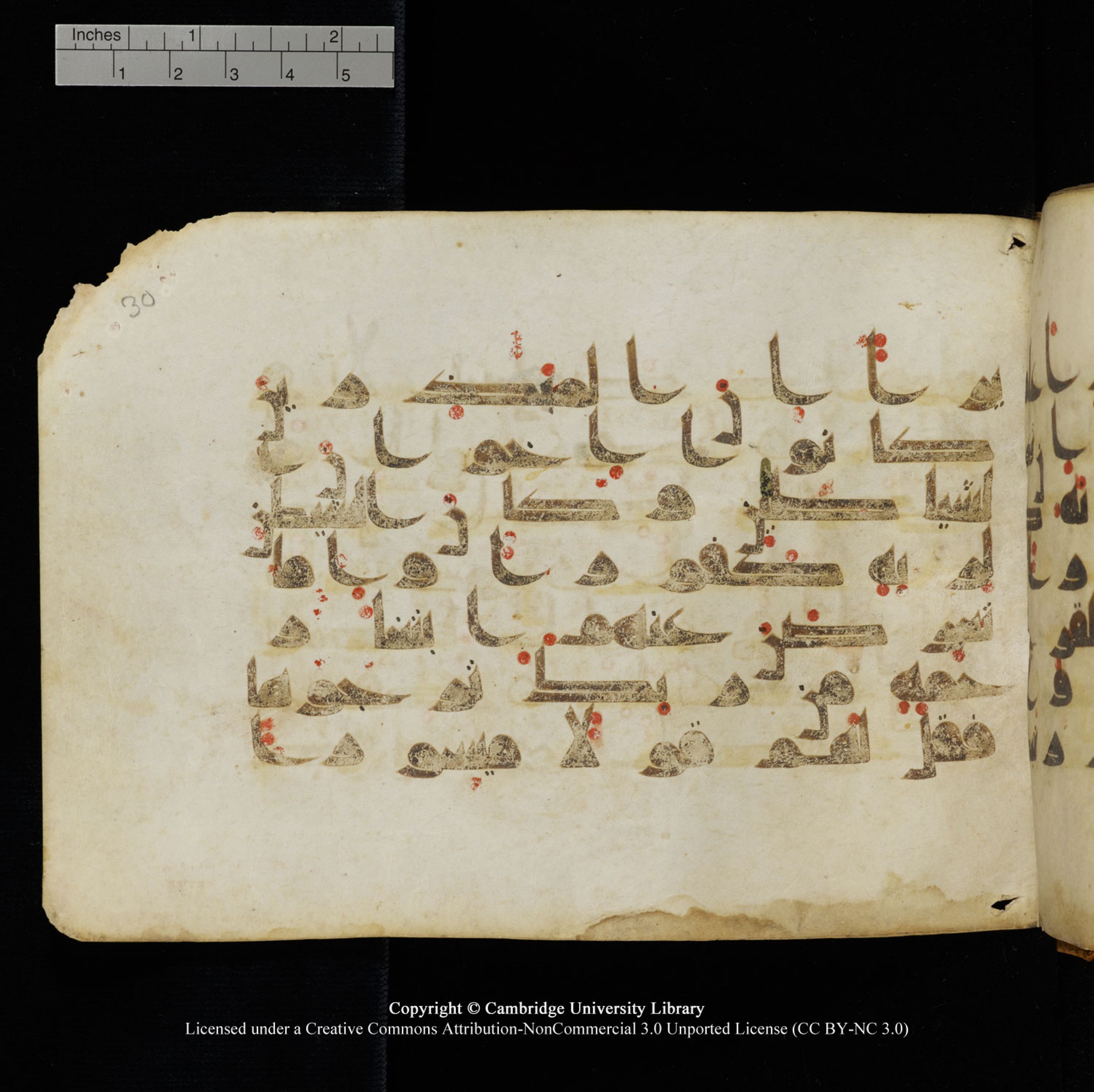 Cambridge University Library, MS Add.1132, in Kūfī D.I script, showing Surah 17:28 from 9th or 10th Century AD found in Sinai Peninsula, currently housed at Cambridge University Library, Cambridge, UK