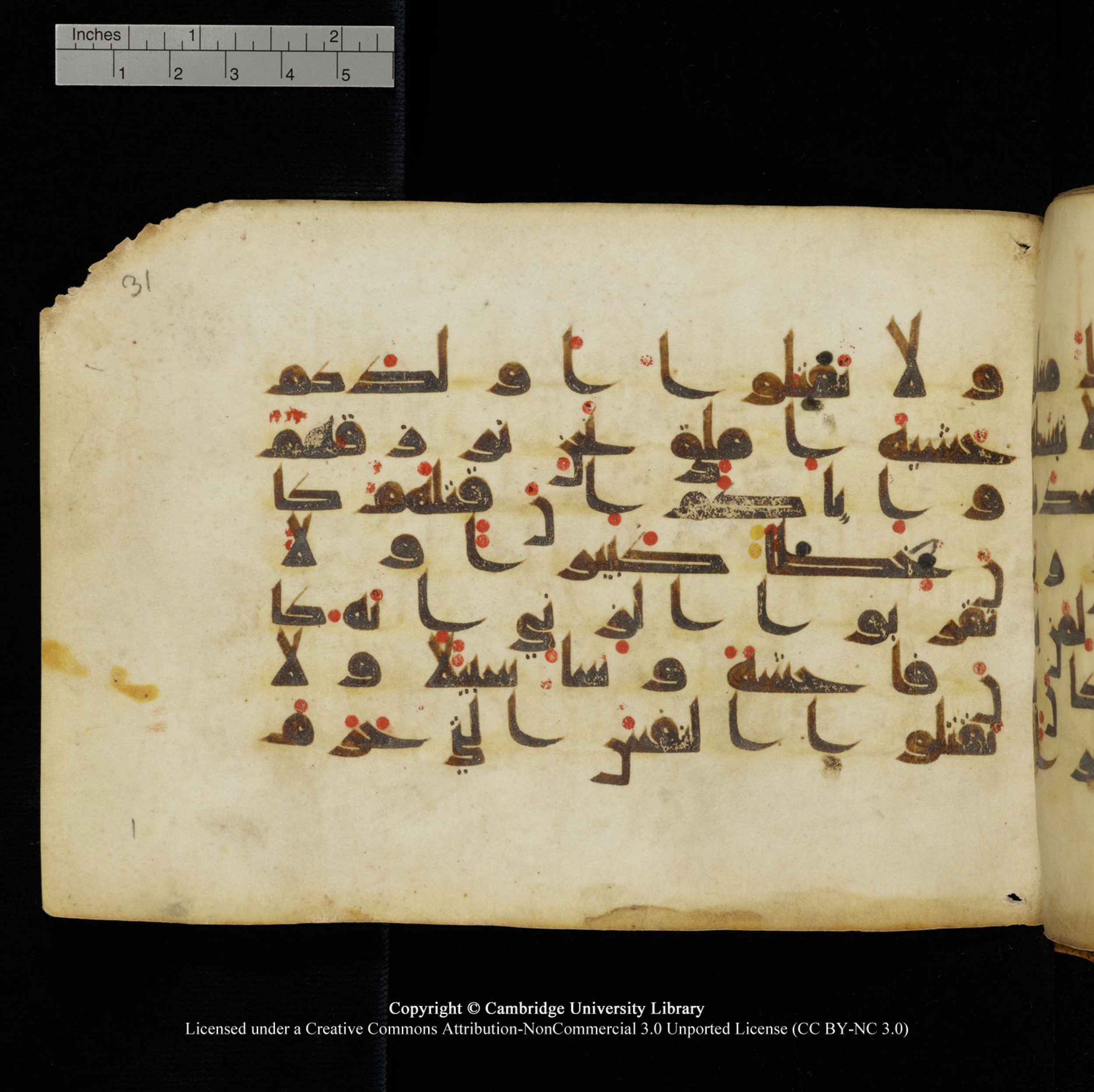 Cambridge University Library, MS Add.1132, in Kūfī D.I script, showing Surah 17:31 from 9th or 10th Century AD found in Sinai Peninsula, currently housed at Cambridge University Library, Cambridge, UK