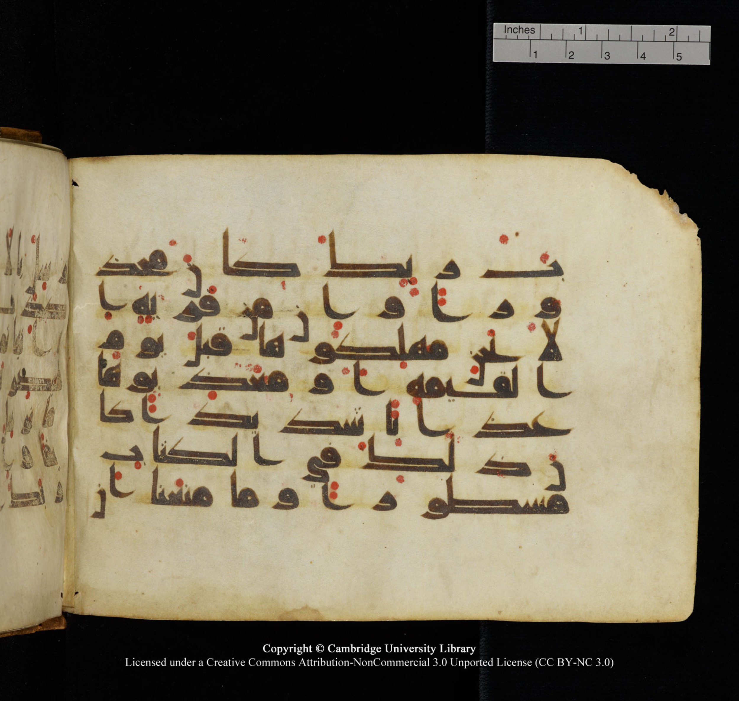 Cambridge University Library, MS Add.1132 (Scan 1), in Kūfī D.I script, showing Surah 17:59 from 9th or 10th Century AD found in Sinai Peninsula, currently housed at Cambridge University Library, Cambridge, UK