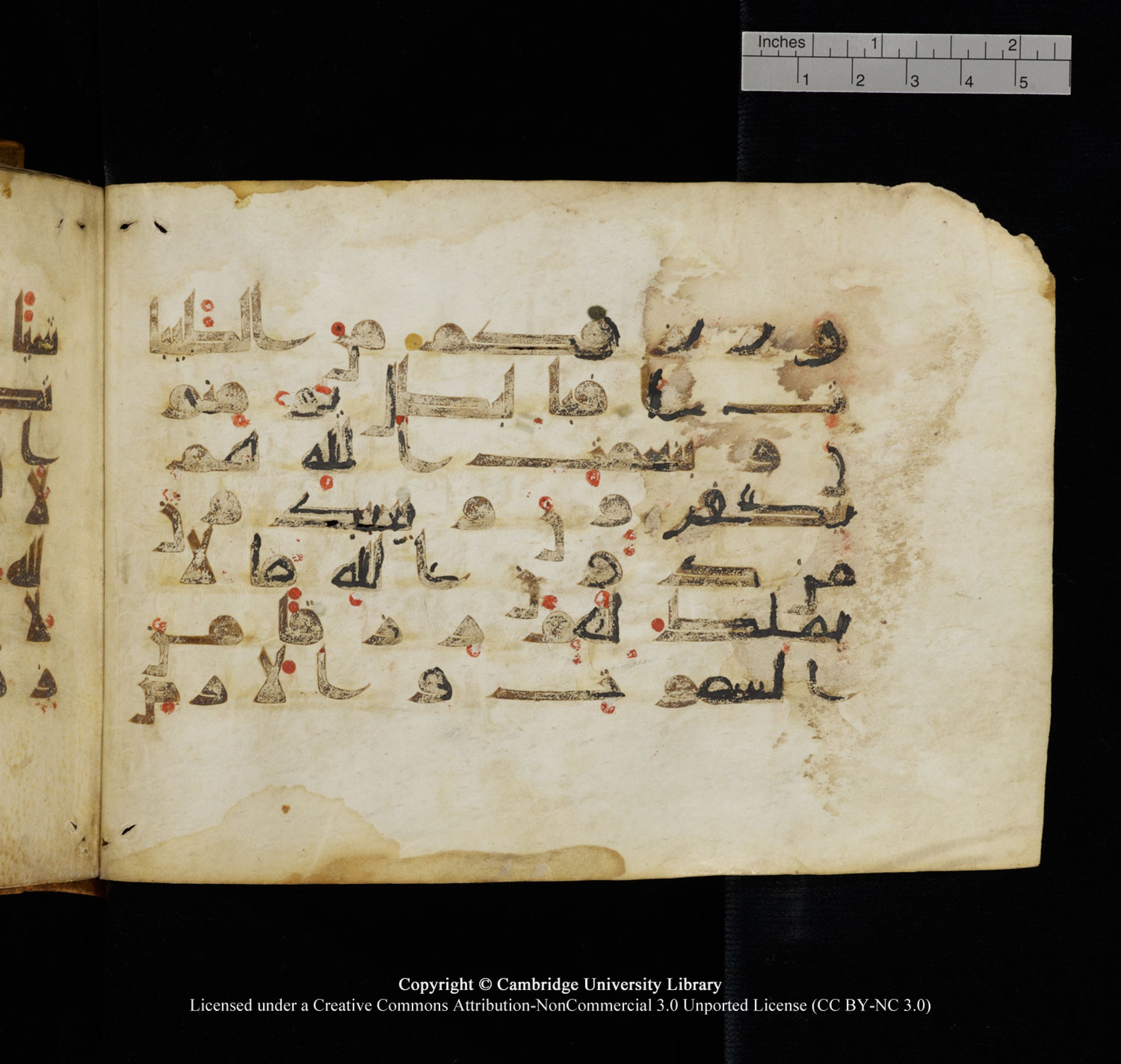 Cambridge University Library, MS Add.1132 (Scan 1), in Kūfī D.I script, showing Surah 16:73 from 9th or 10th Century AD found in Sinai Peninsula, currently housed at Cambridge University Library, Cambridge, UK