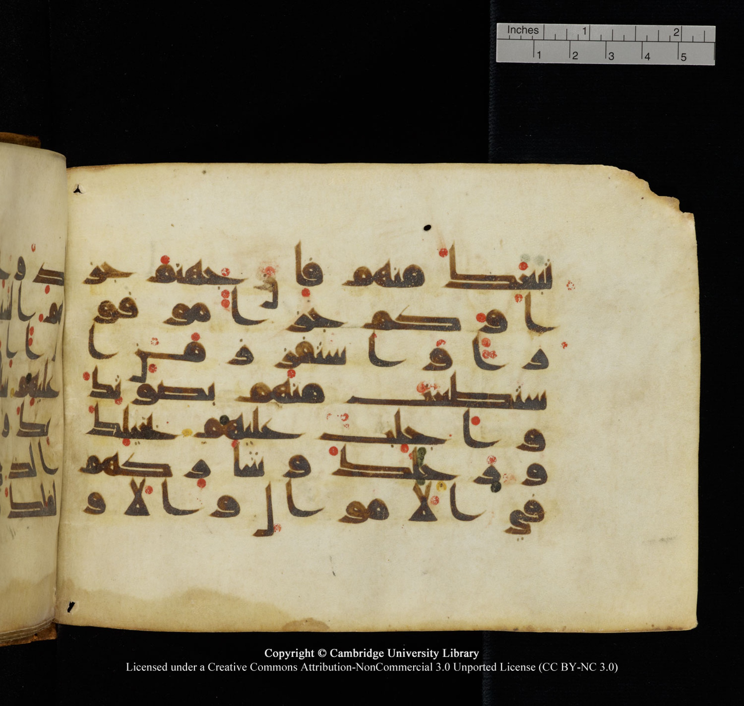 Cambridge University Library, MS Add.1132 (Scan 1), in Kūfī D.I script, showing Surah 17:64 from 9th or 10th Century AD found in Sinai Peninsula, currently housed at Cambridge University Library, Cambridge, UK