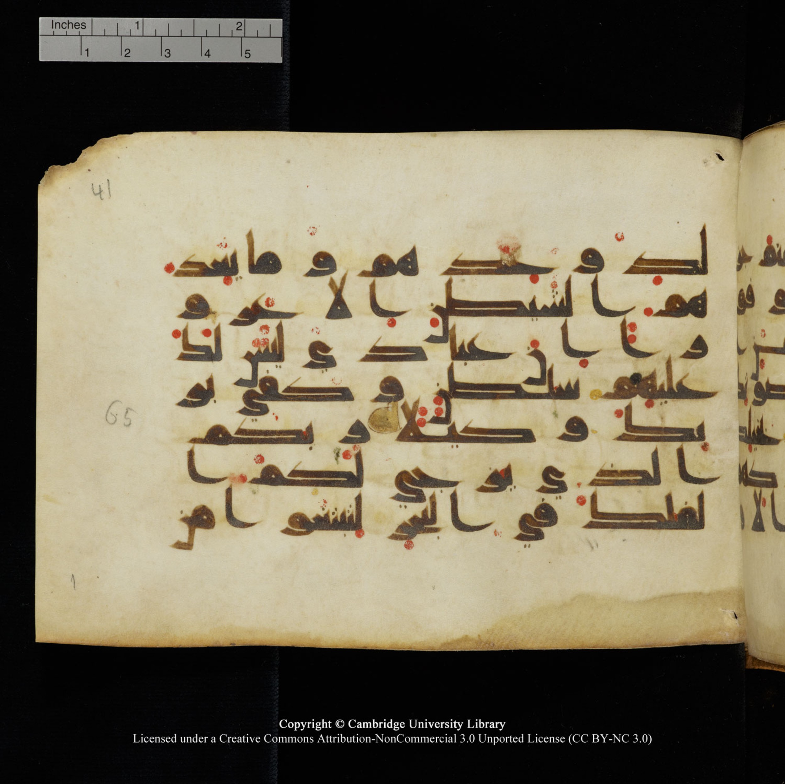 Cambridge University Library, MS Add.1132 (Scan 2), in Kūfī D.I script, showing Surah 17:64 from 9th or 10th Century AD found in Sinai Peninsula, currently housed at Cambridge University Library, Cambridge, UK